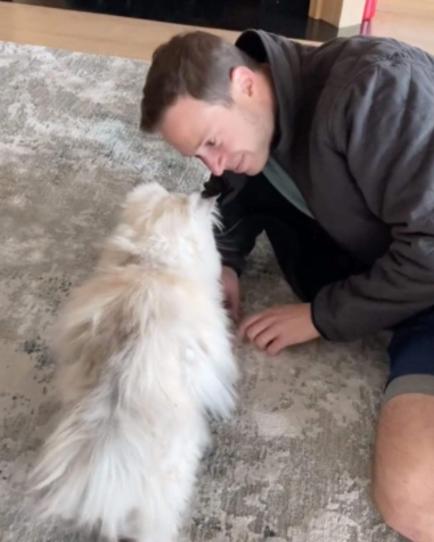 man looking at the cat