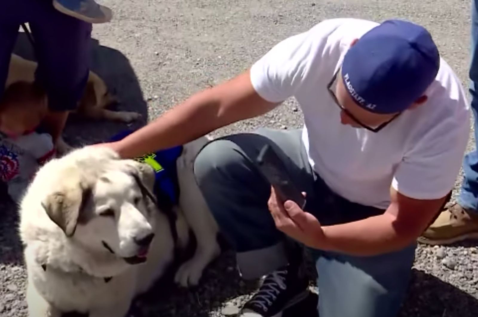 man petting the brave dog