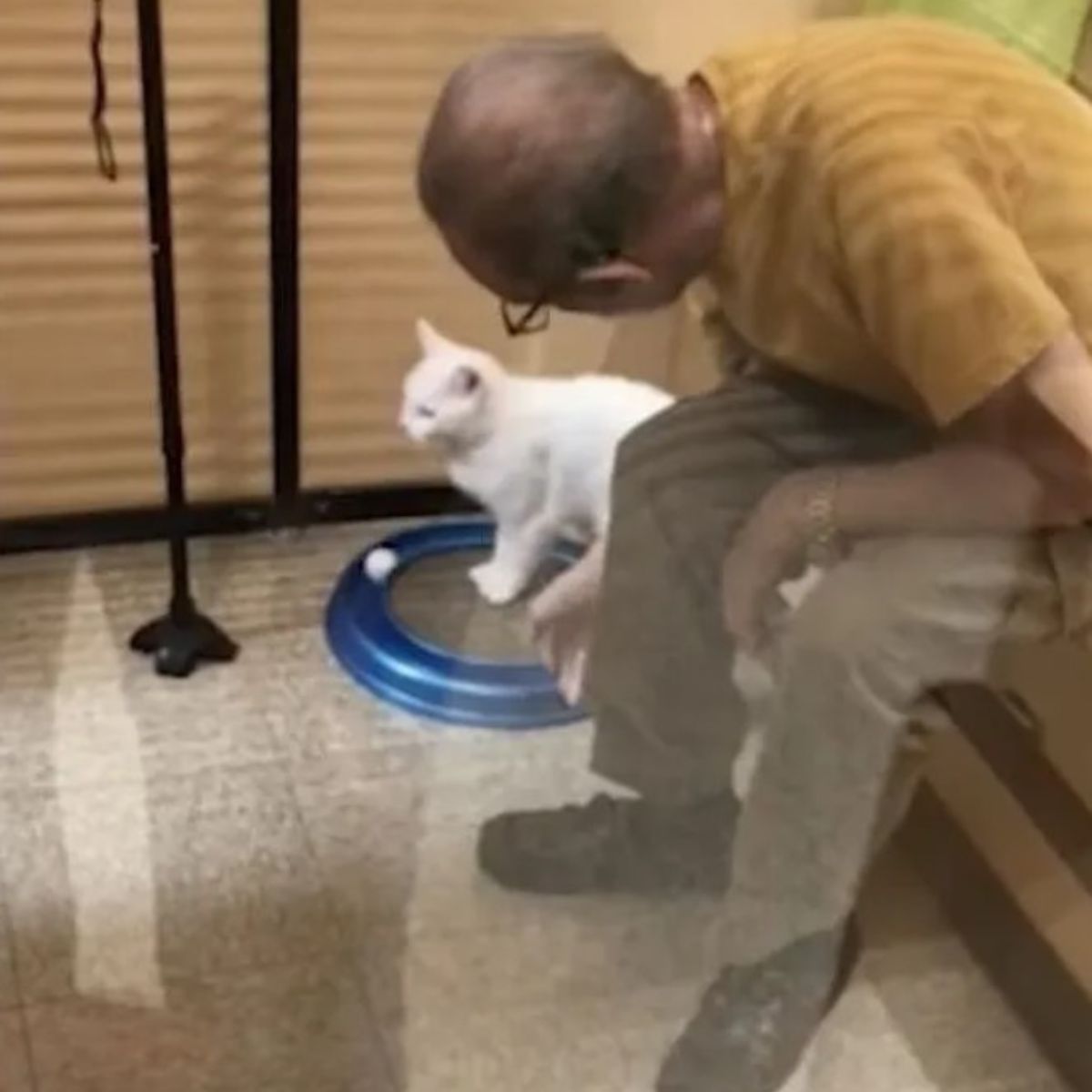 man sitting next to a cat