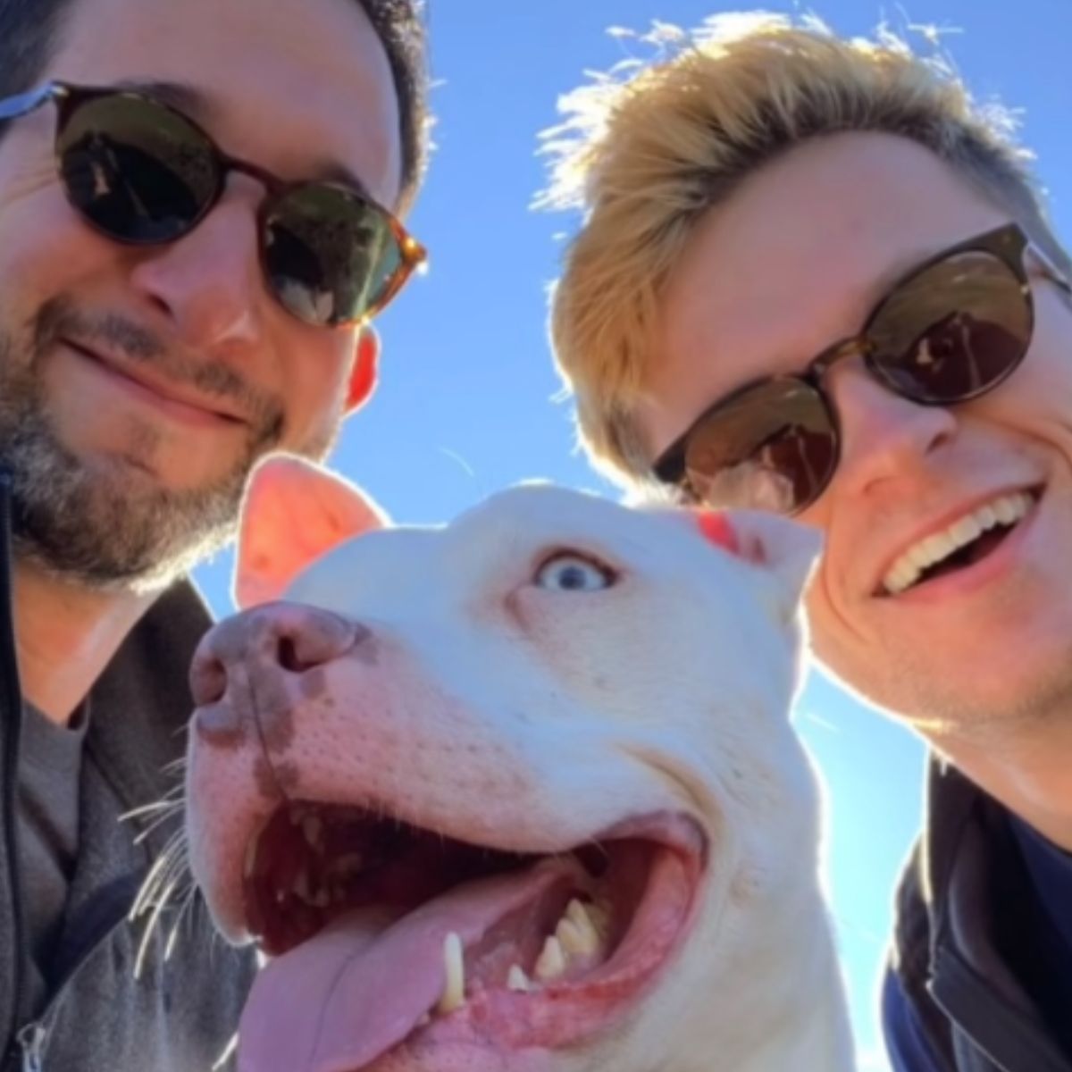 man woman and the deaf dog