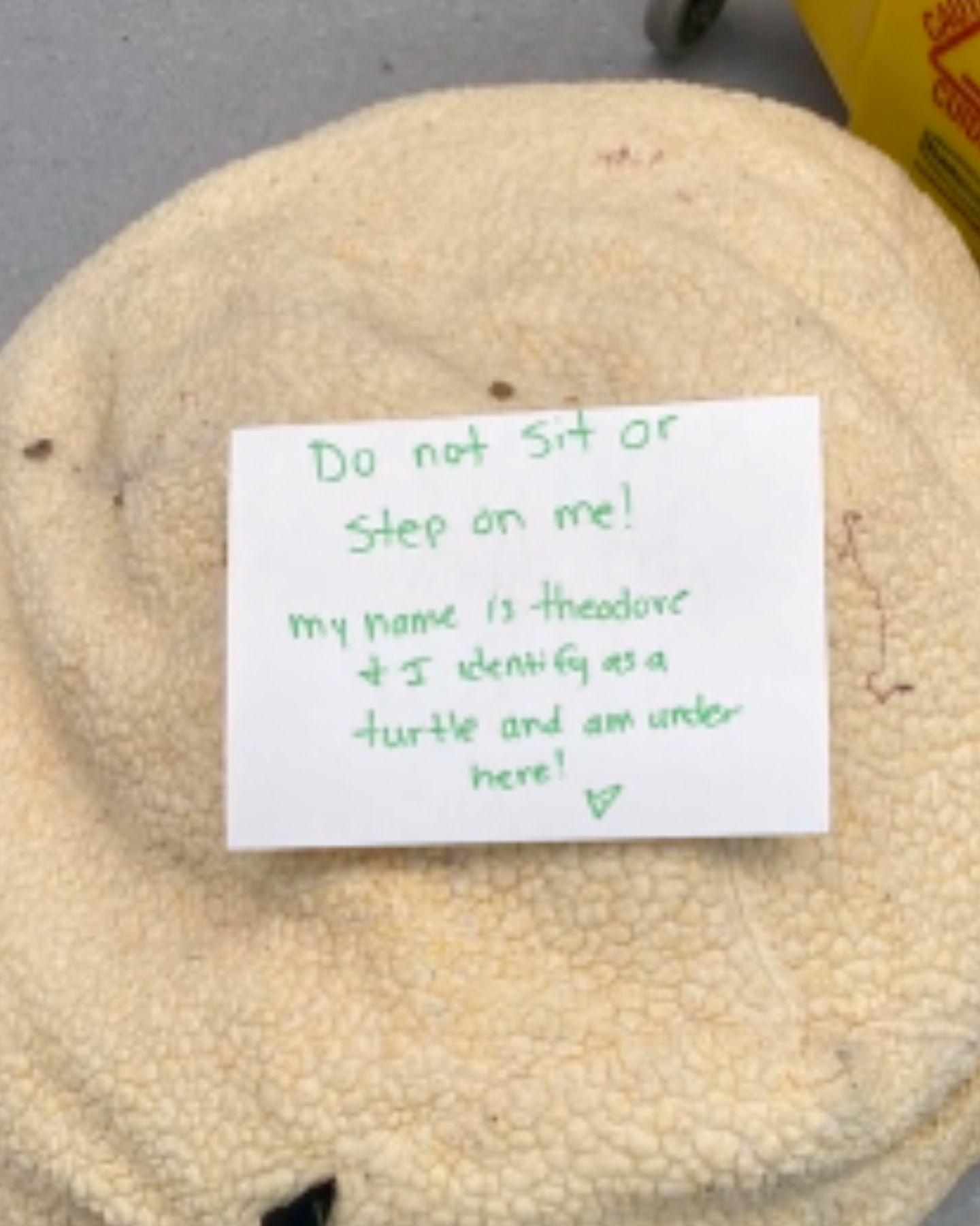message on cat's bed
