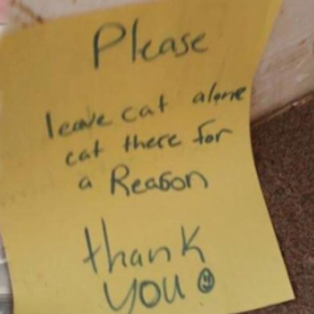 note please leave cat alone