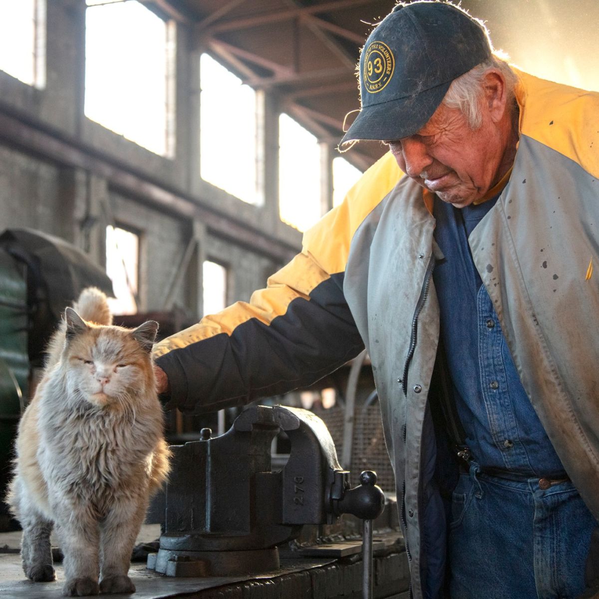 old man pats cat