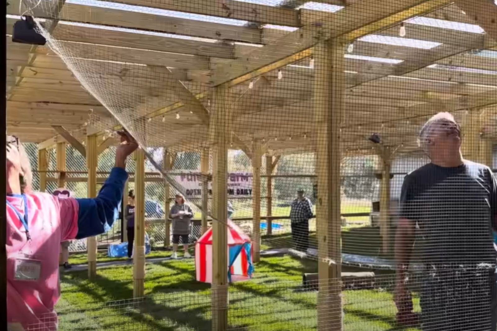 people building shelter cats catio