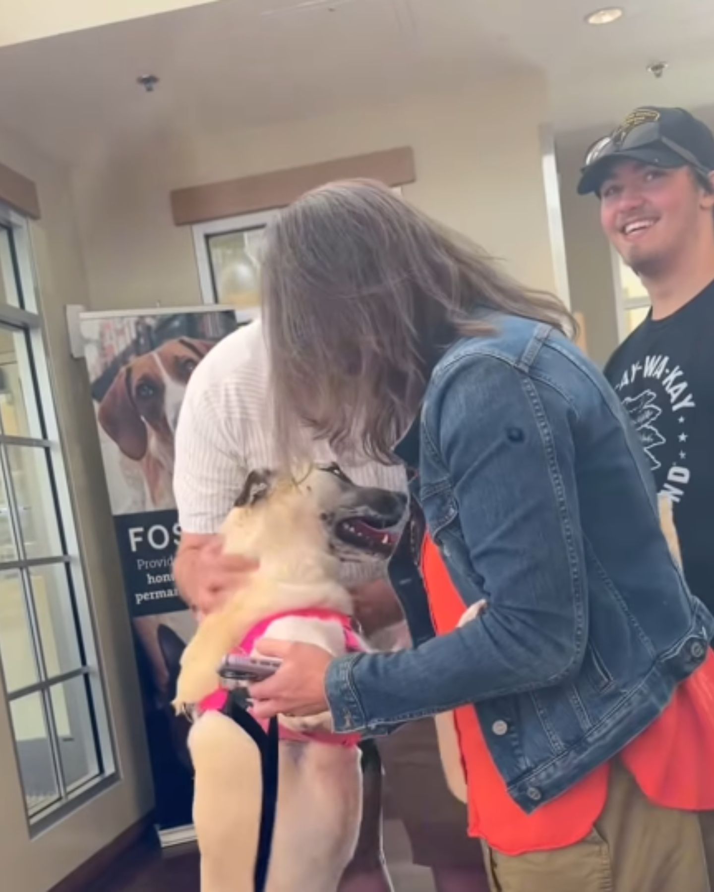 people greeting the dog
