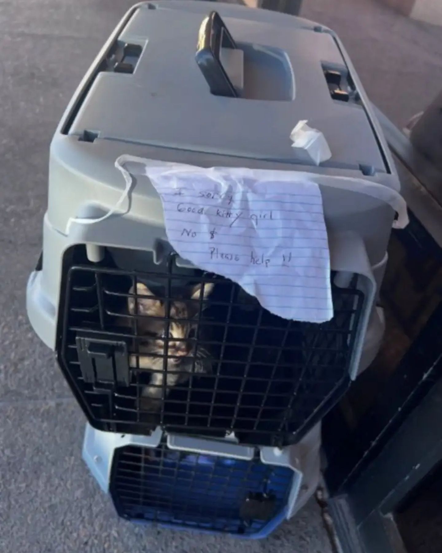 pet carriers