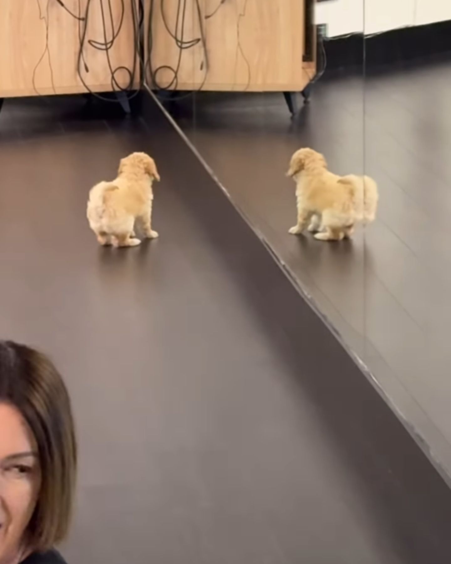 playful pup in yoga class
