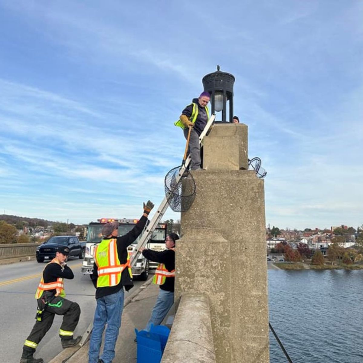 rescuers helping the animal
