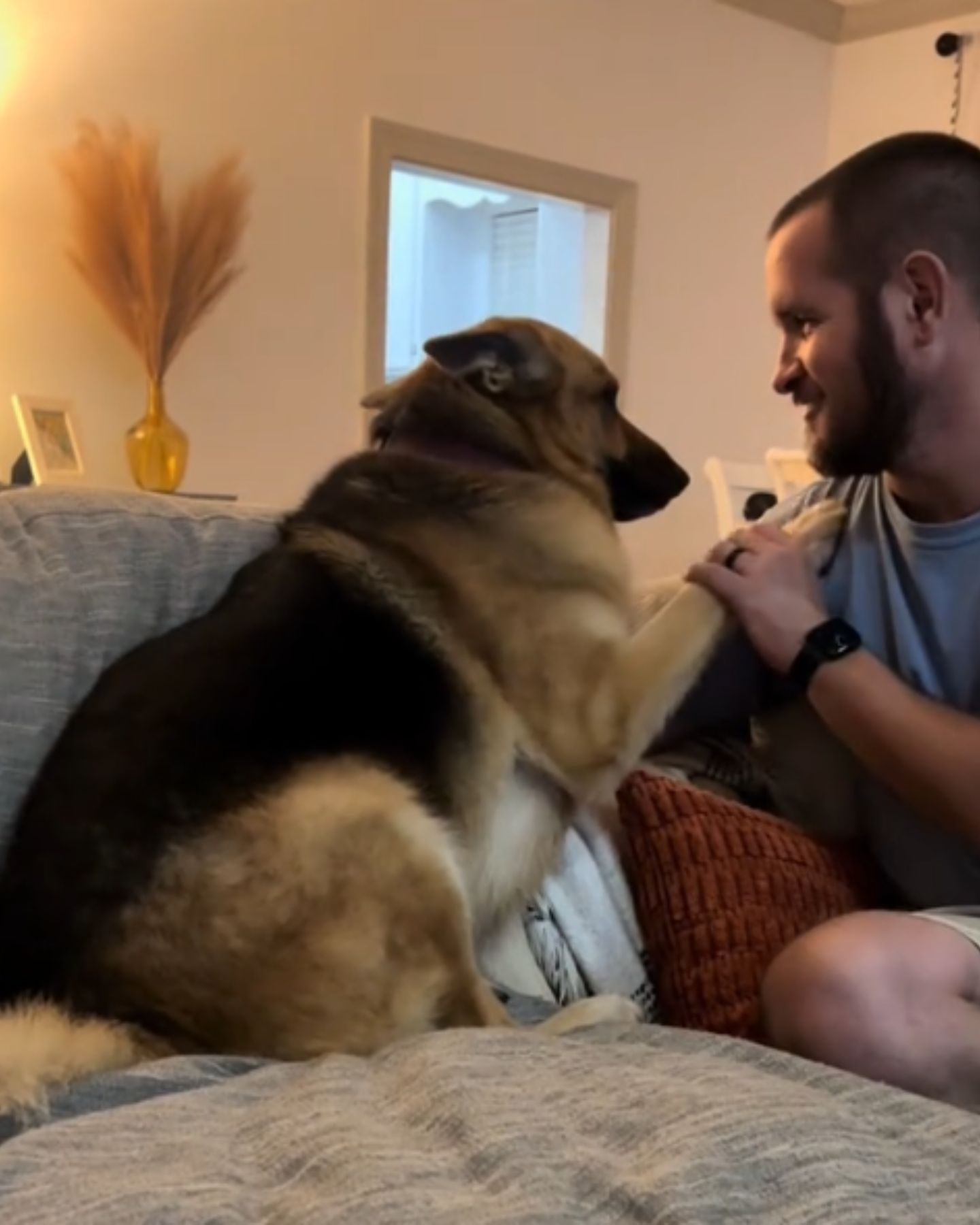 scared dog and owner