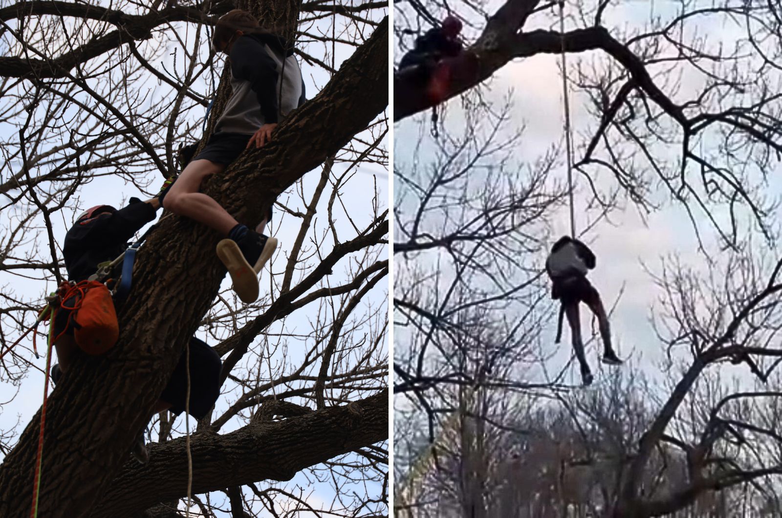 teenager saves himself from tree