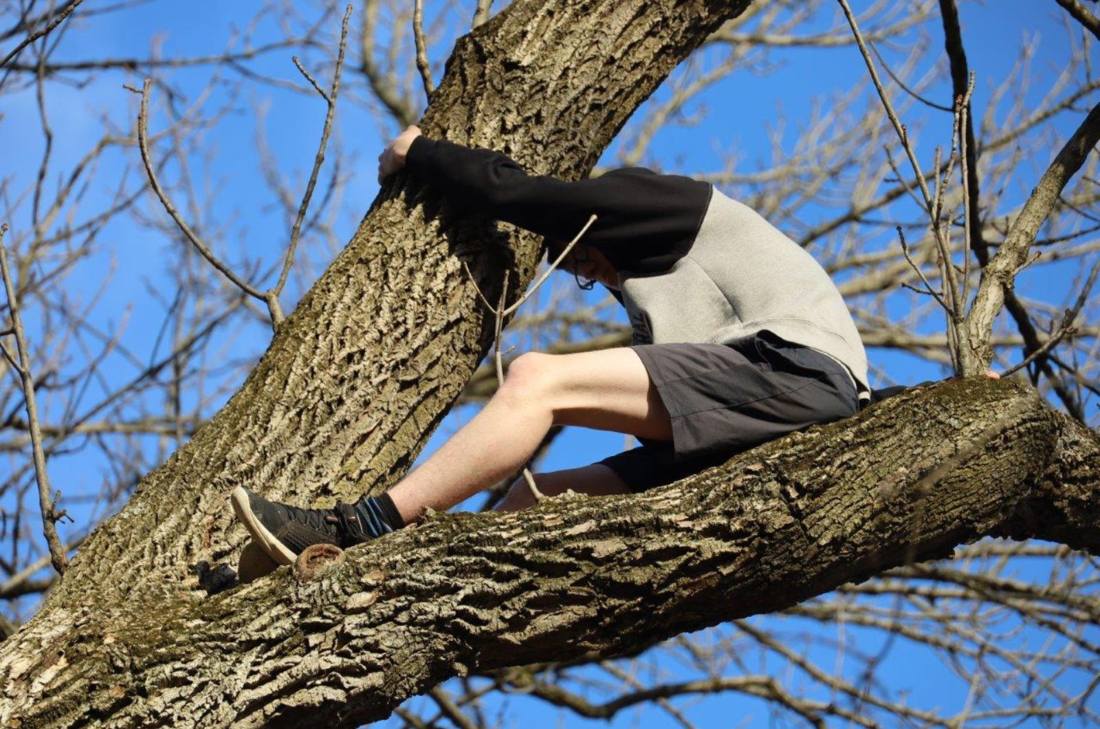 teenager tries to save cat from tree