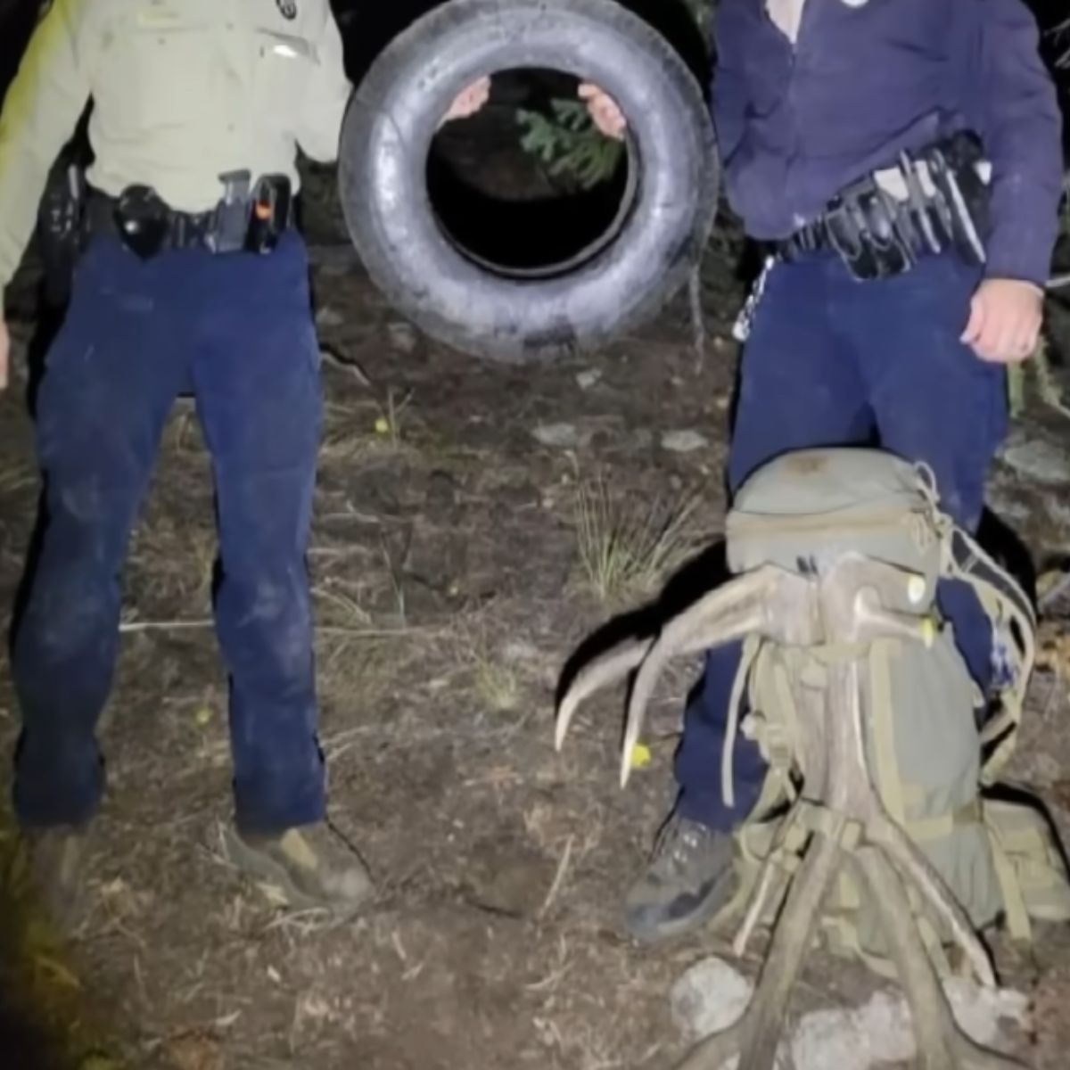 tire from the elk's neck was removed