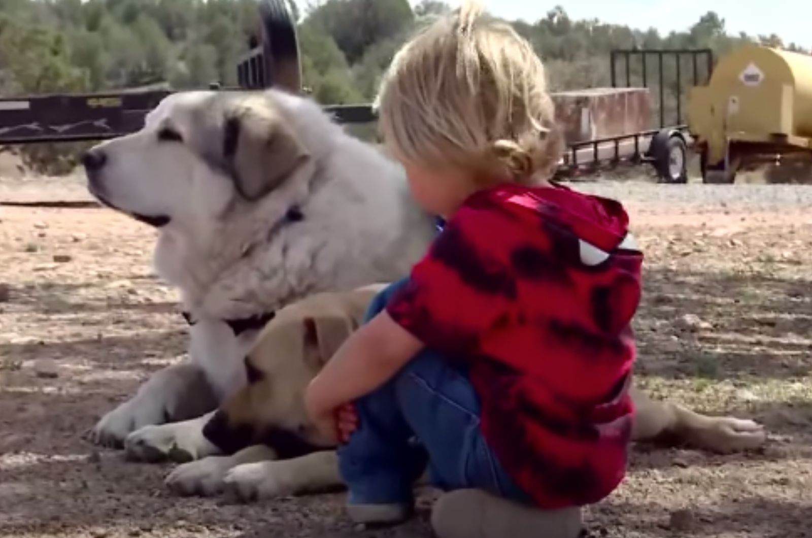 toddler with the dog