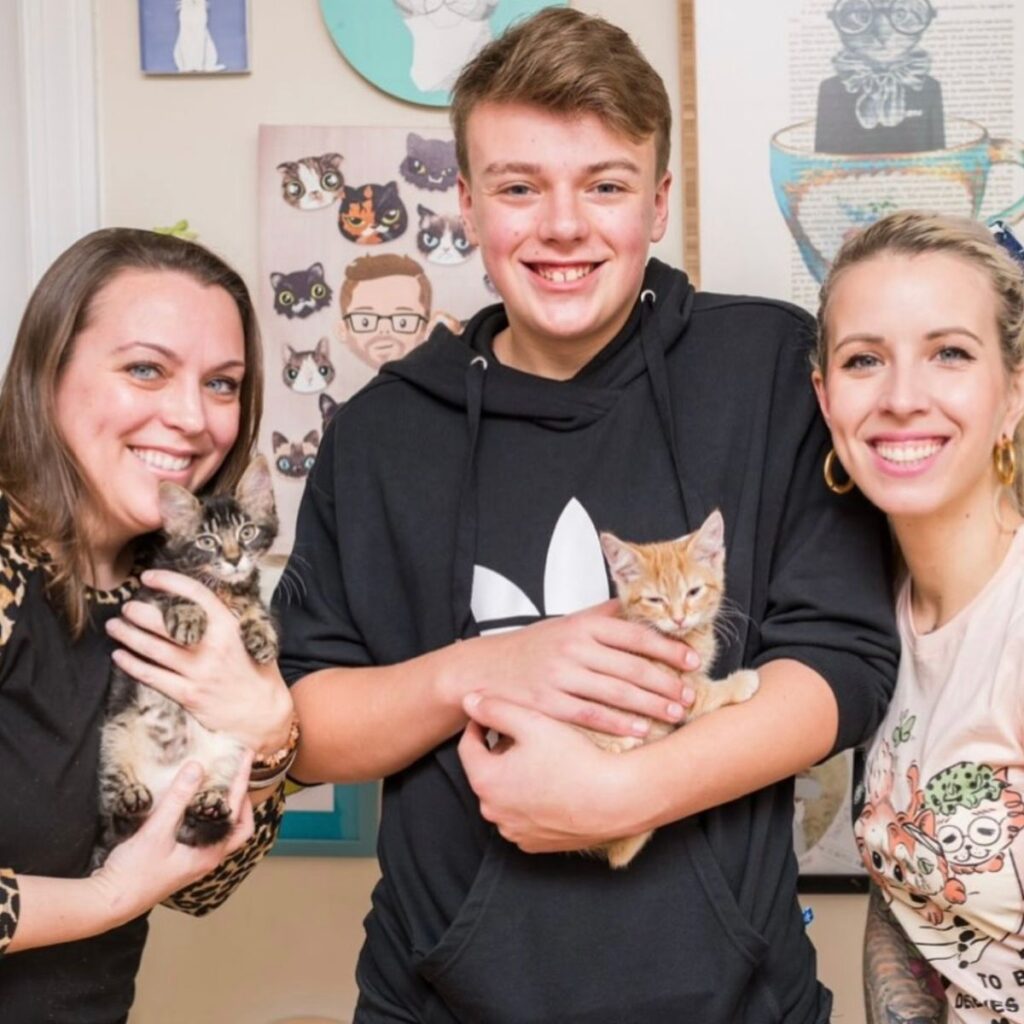 two kittens adopted