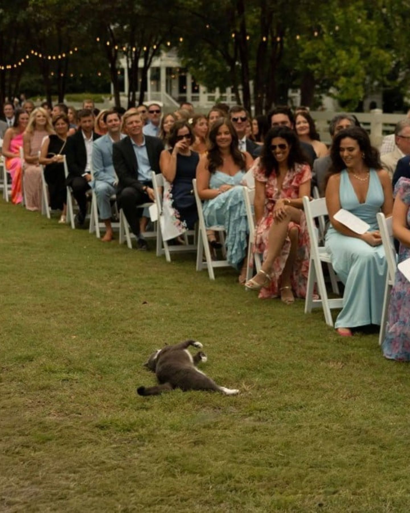 wedding guests