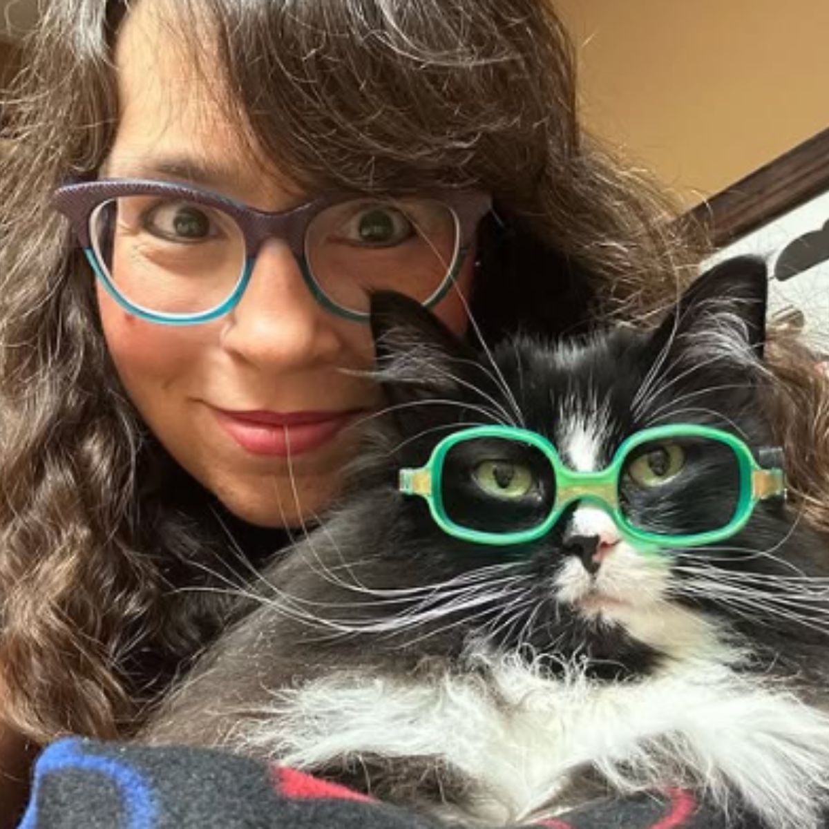 woman and cat wearing glasses