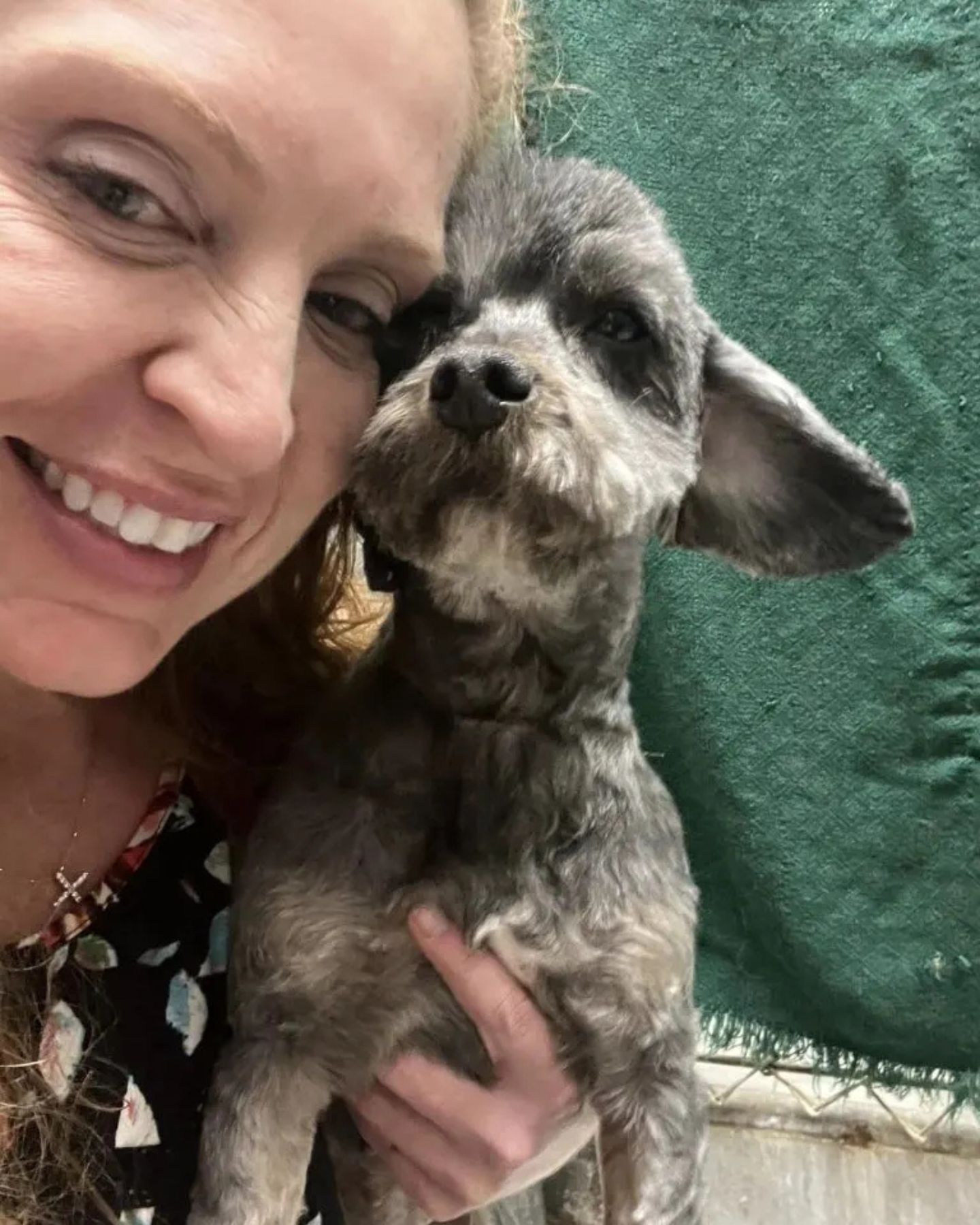 woman and shaved dog
