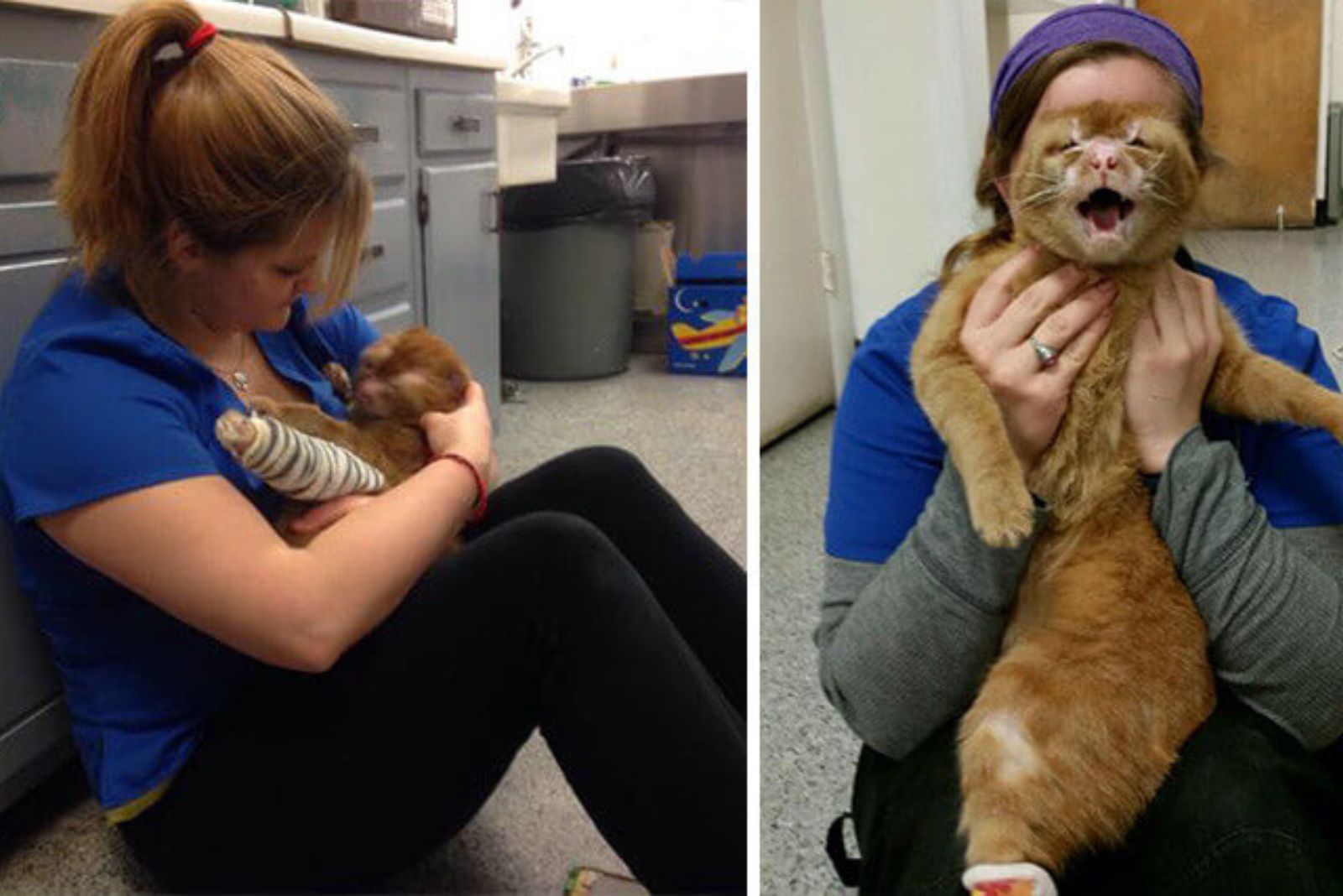 woman comforting the cat
