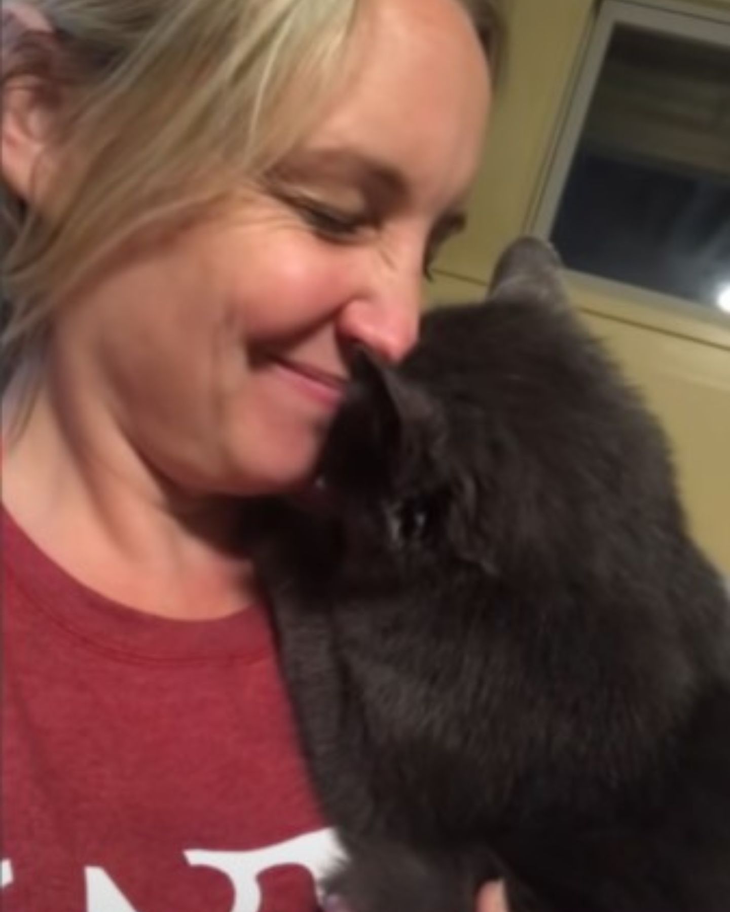 woman cuddling gray cat