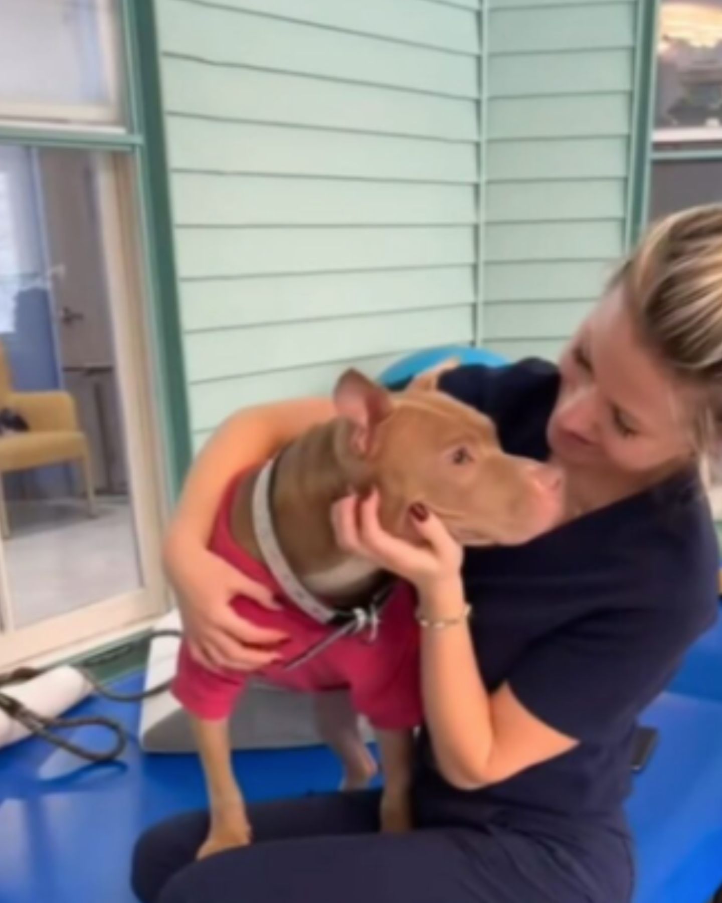 woman cuddling pit bull