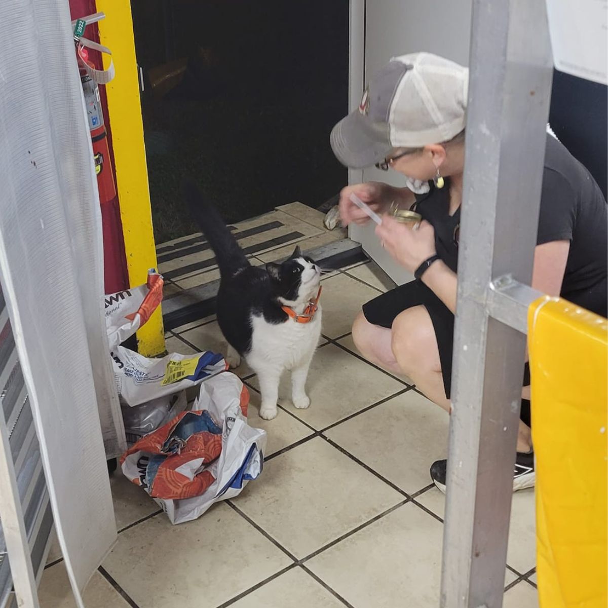 woman feeding the cat