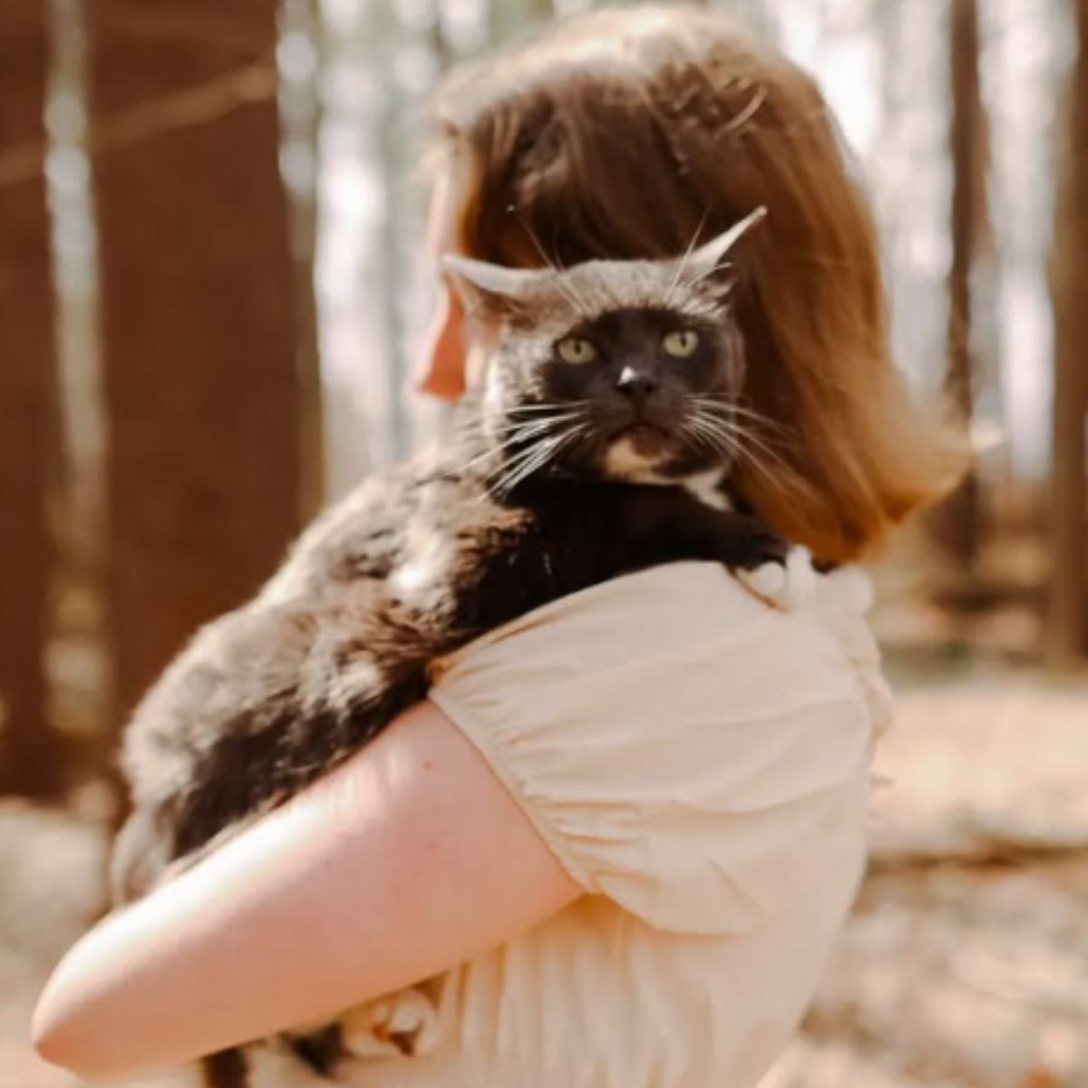 woman holding a cat