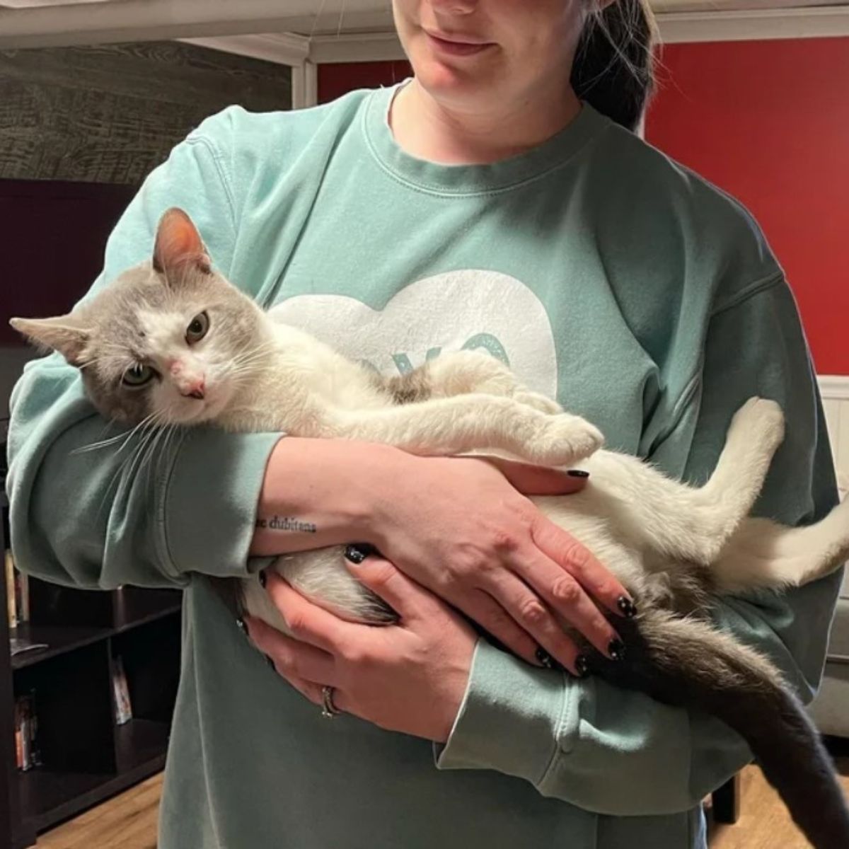woman holding a cat
