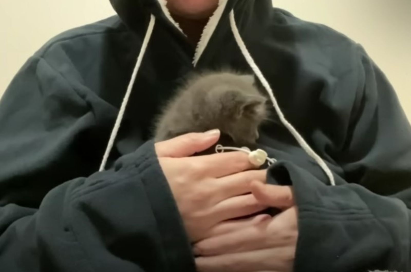 woman holdinh kitten