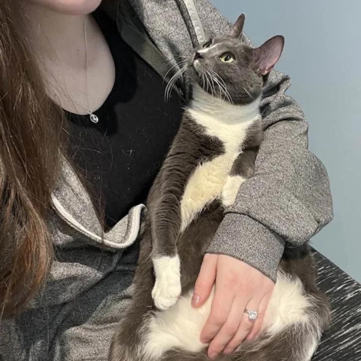 woman holding the abandoned cat
