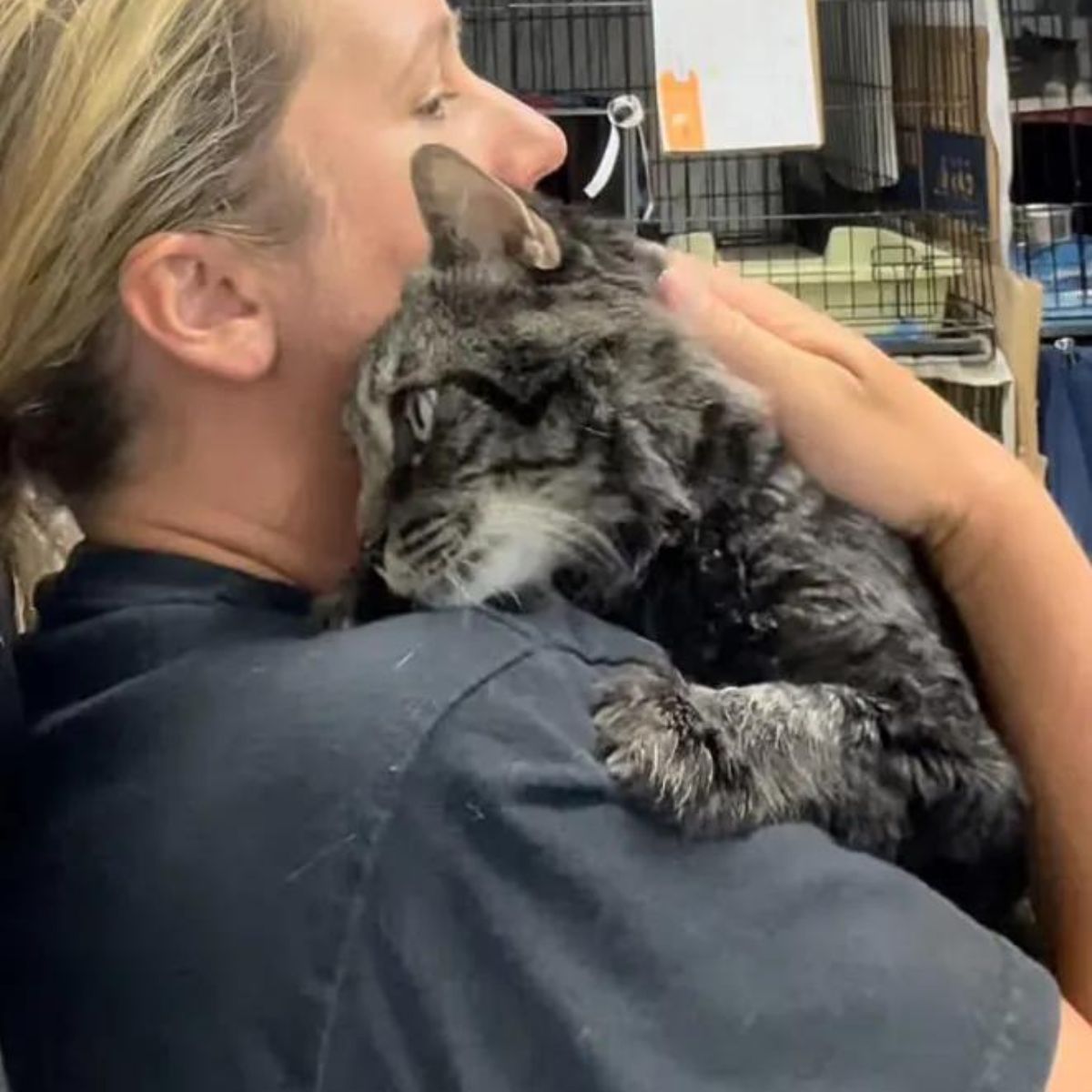 woman holding the cat