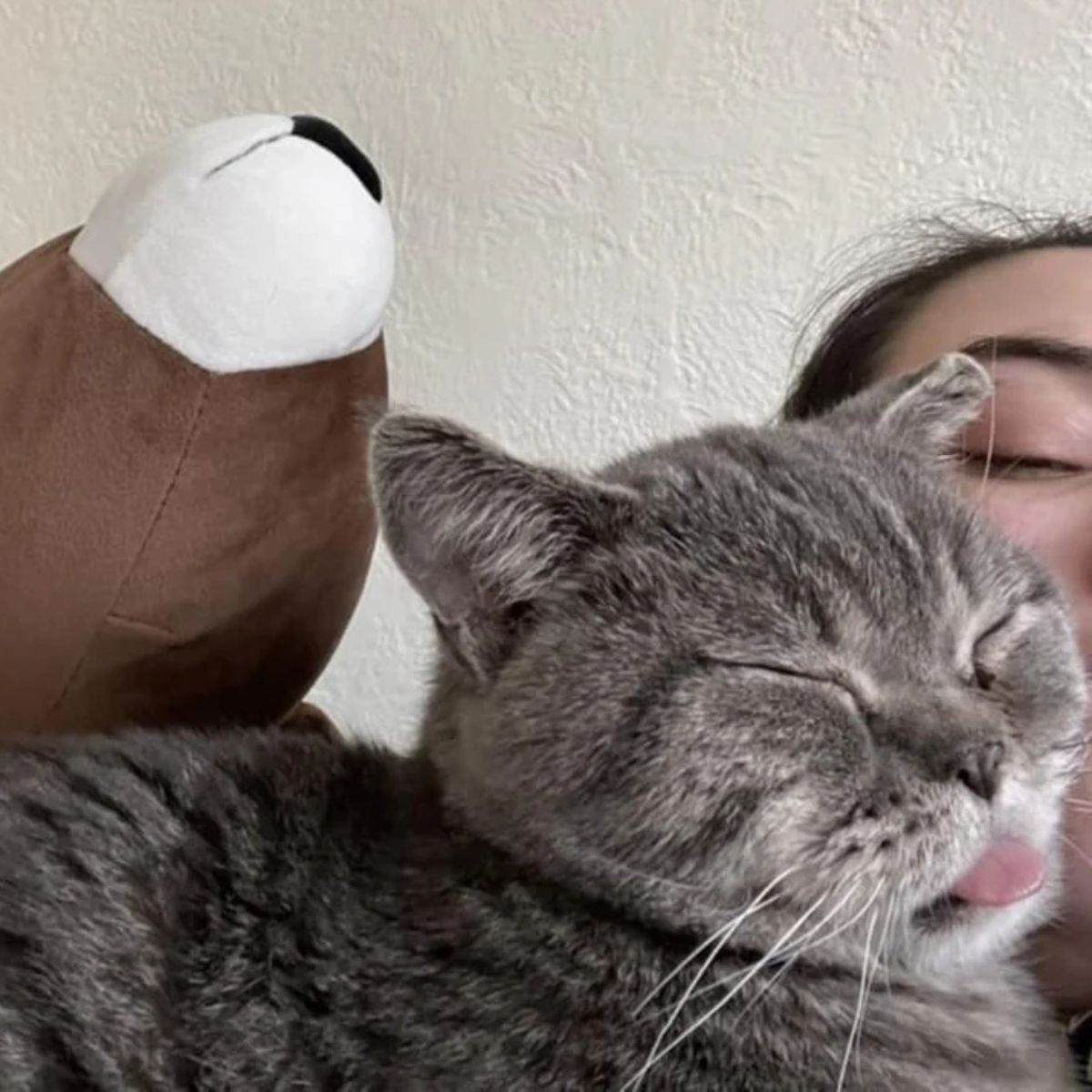 woman holding the cat