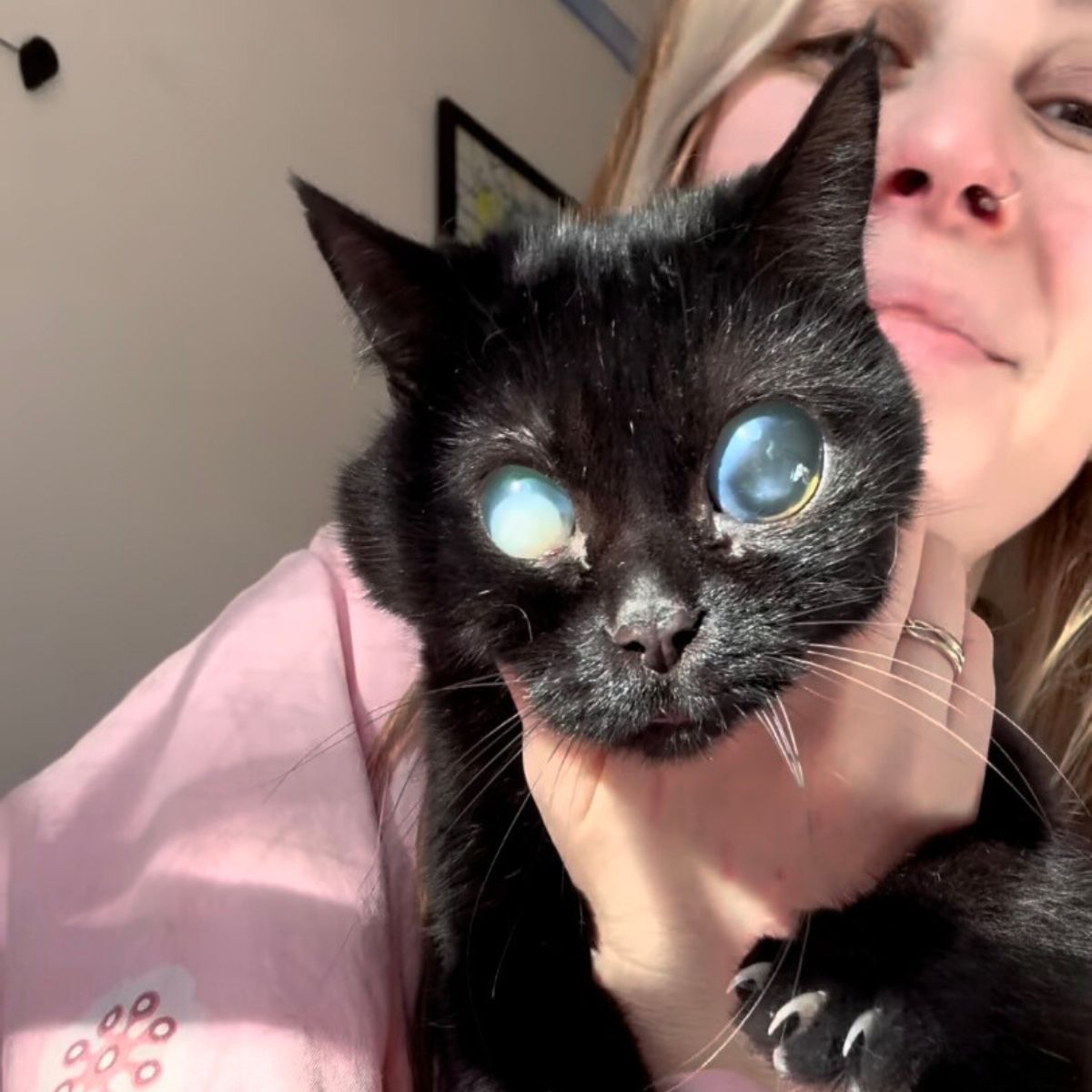 woman holding the cat