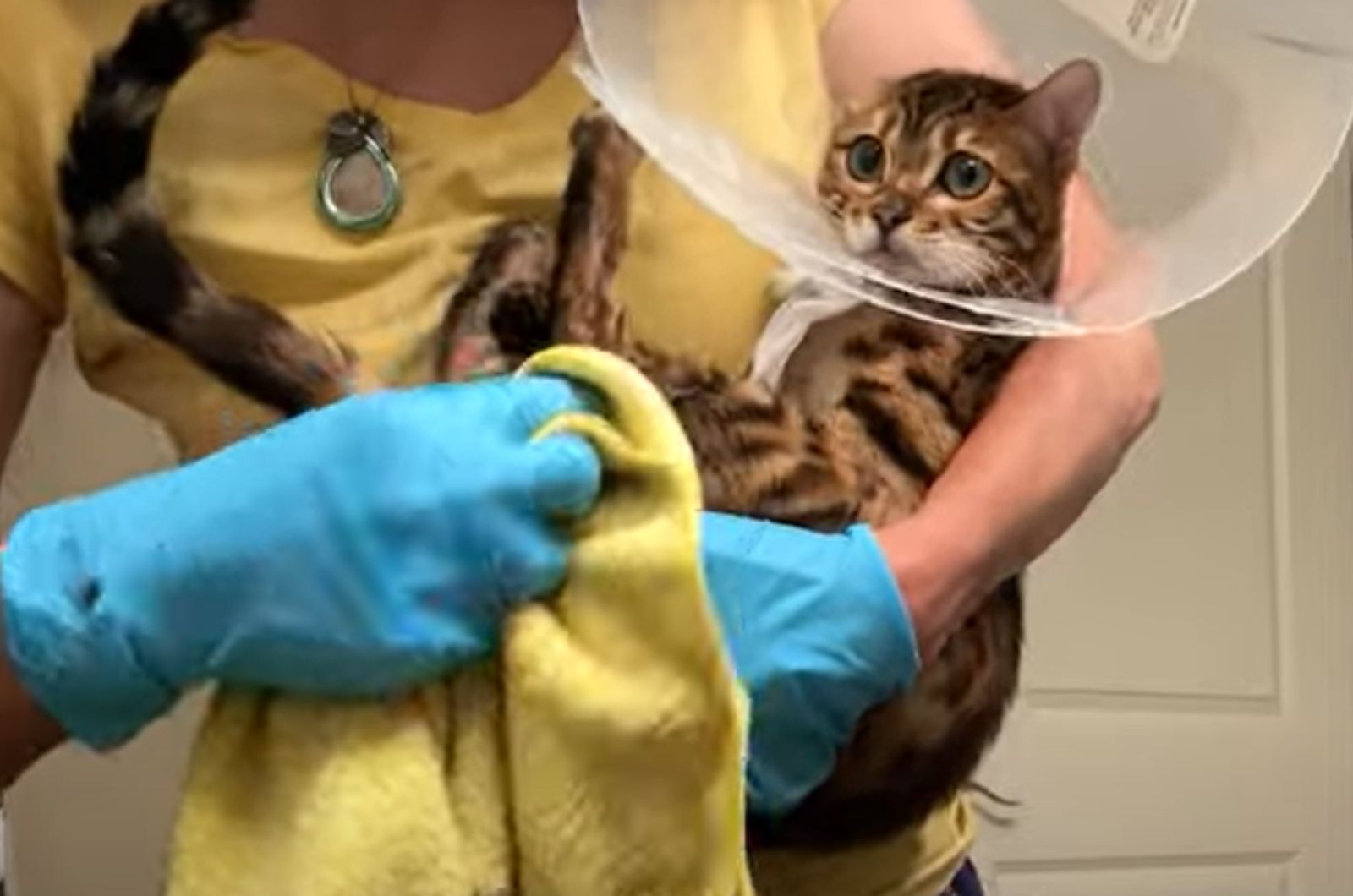 woman holding the cat with a cone