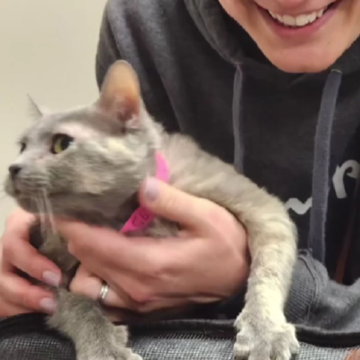 woman holding the cat