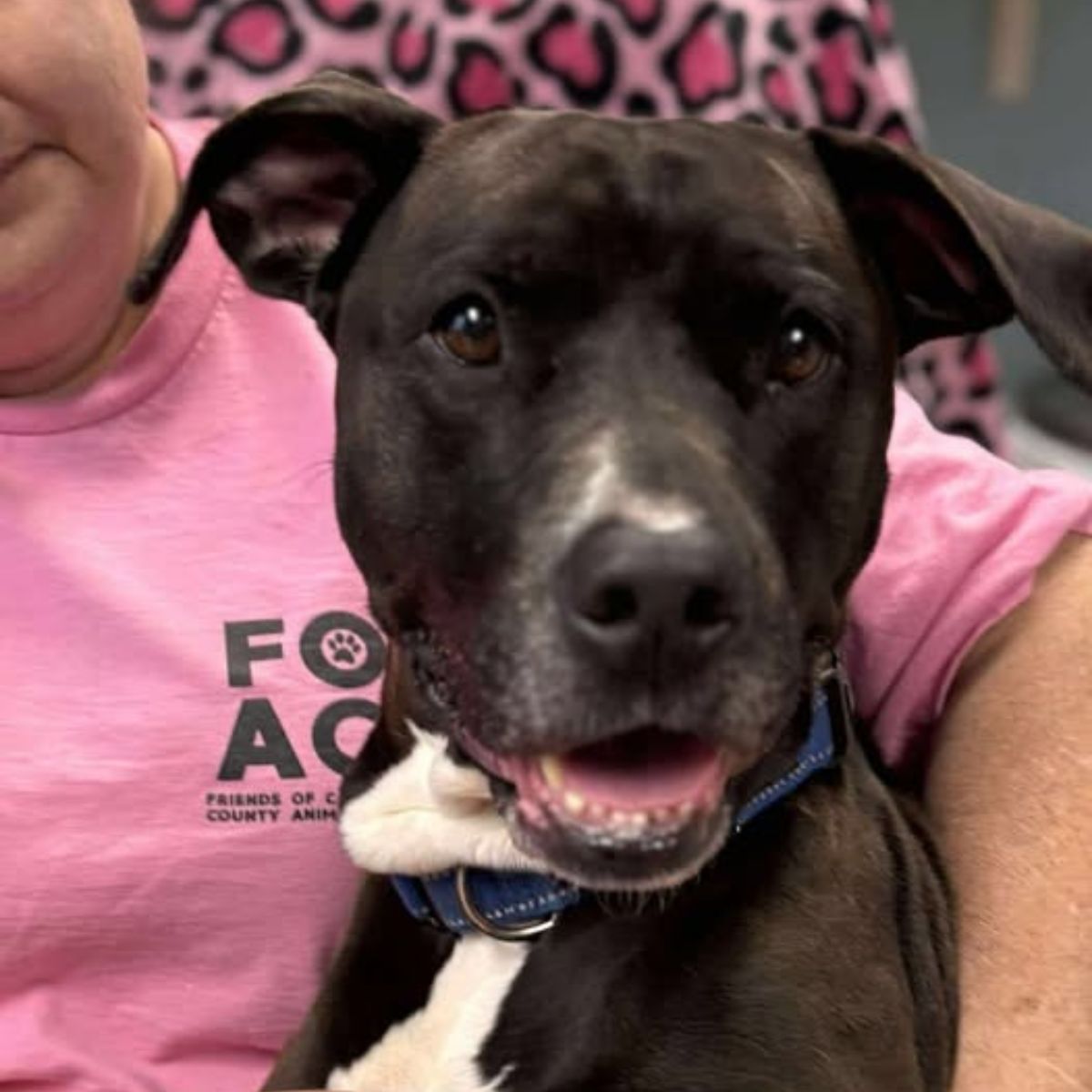 woman holding the rescue dog
