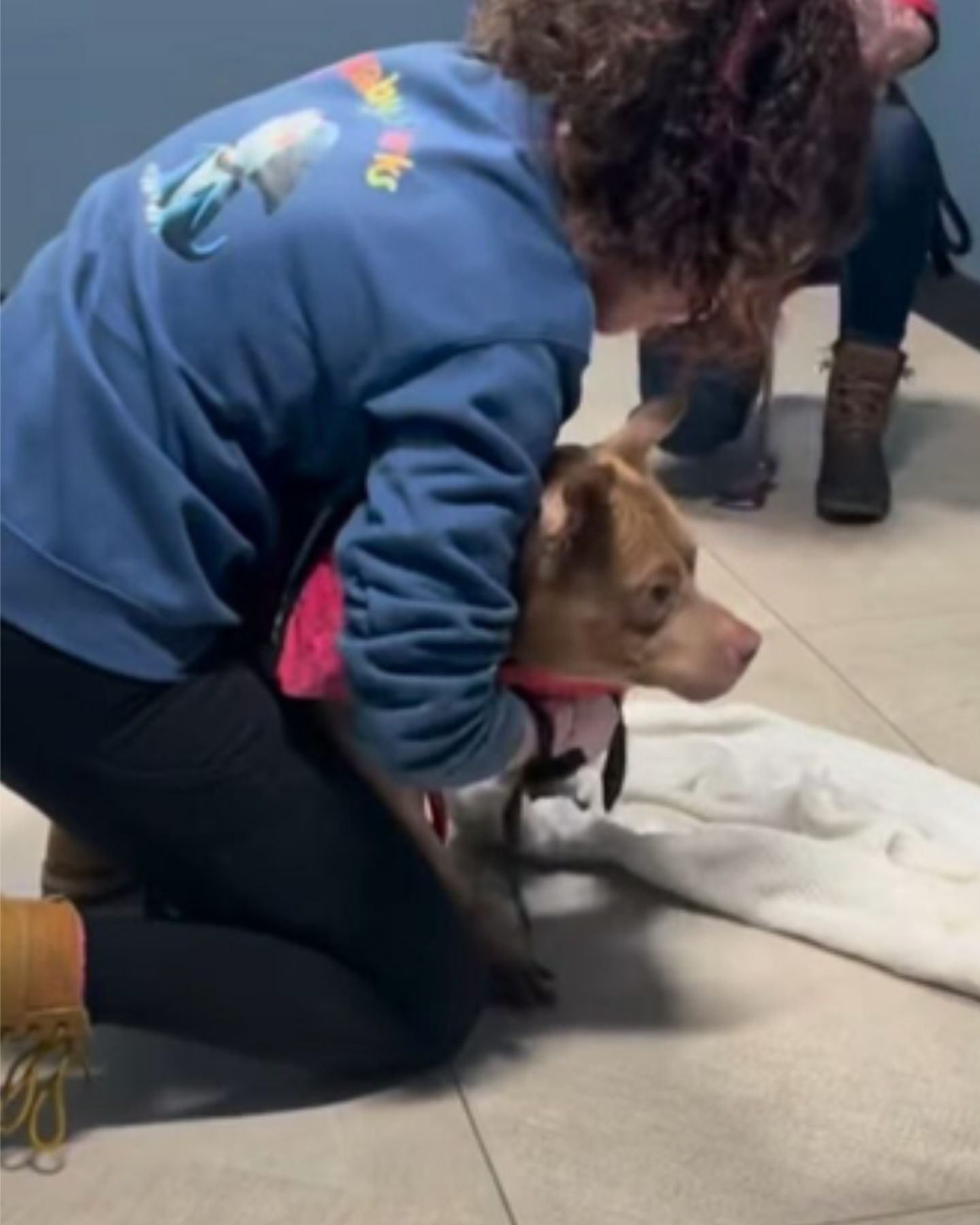 woman hugging pit bull