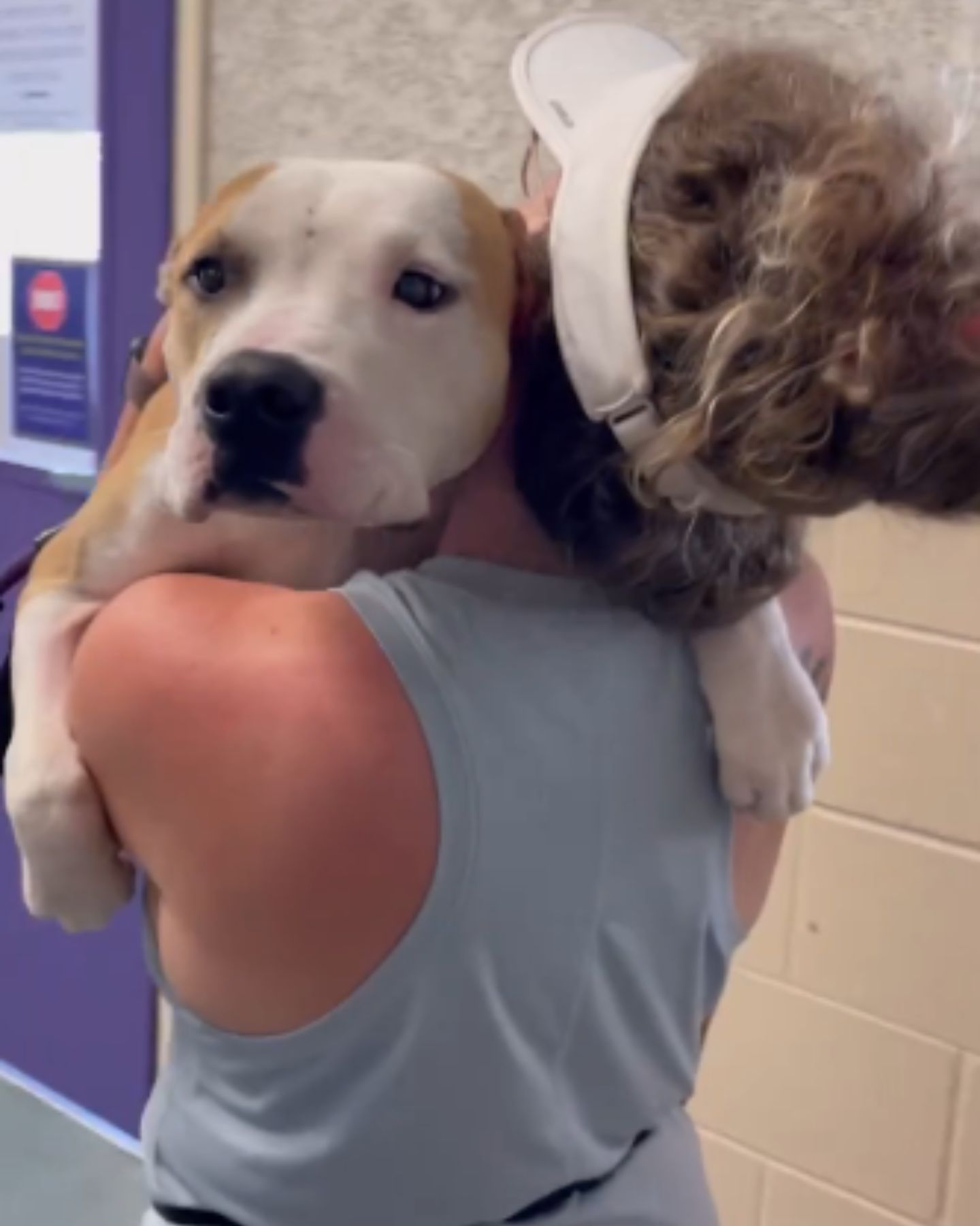 woman hugging the dog