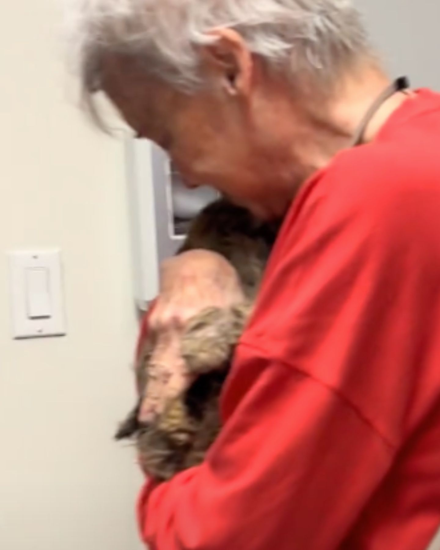 woman hugs cat