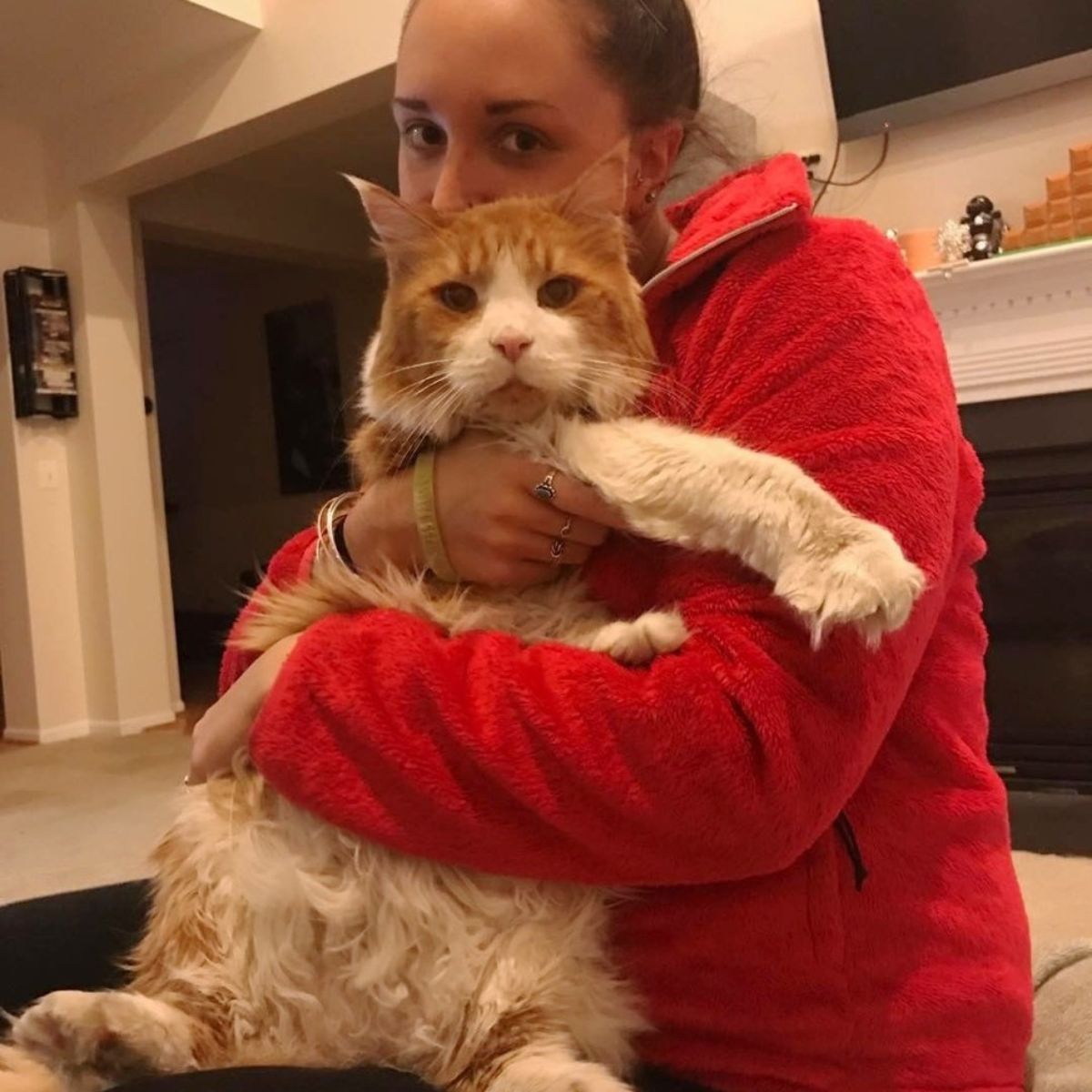 woman hugs giant cat