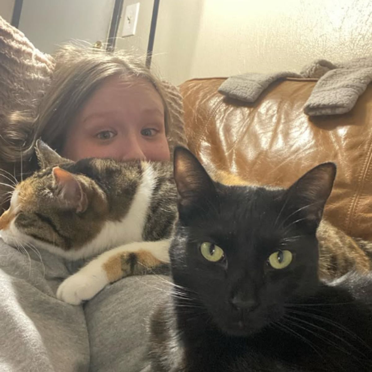 woman lying with two cats