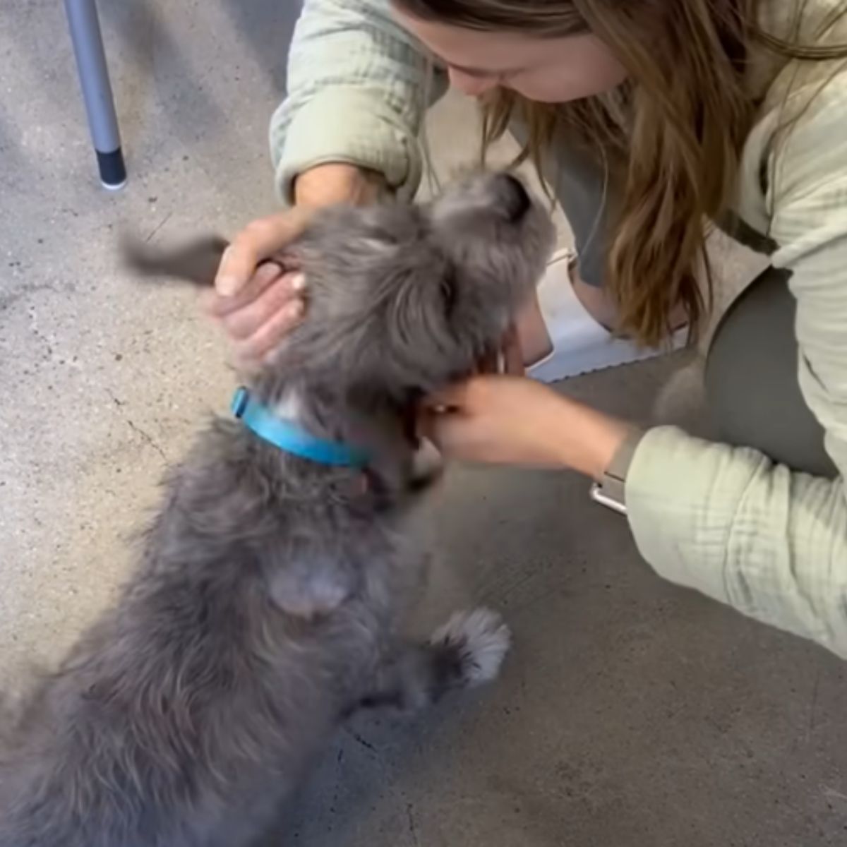 woman petting a dog