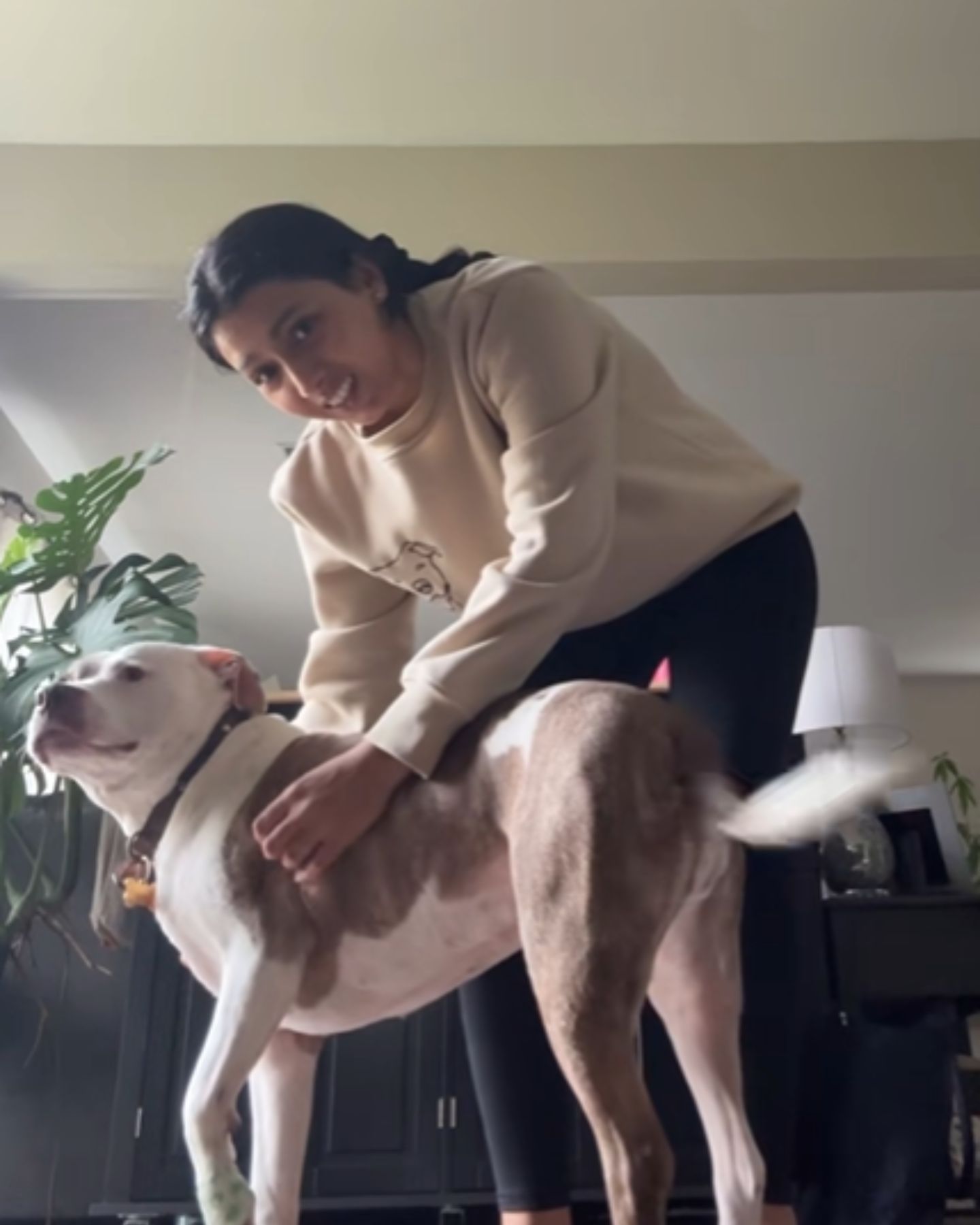 woman petting a pit bull
