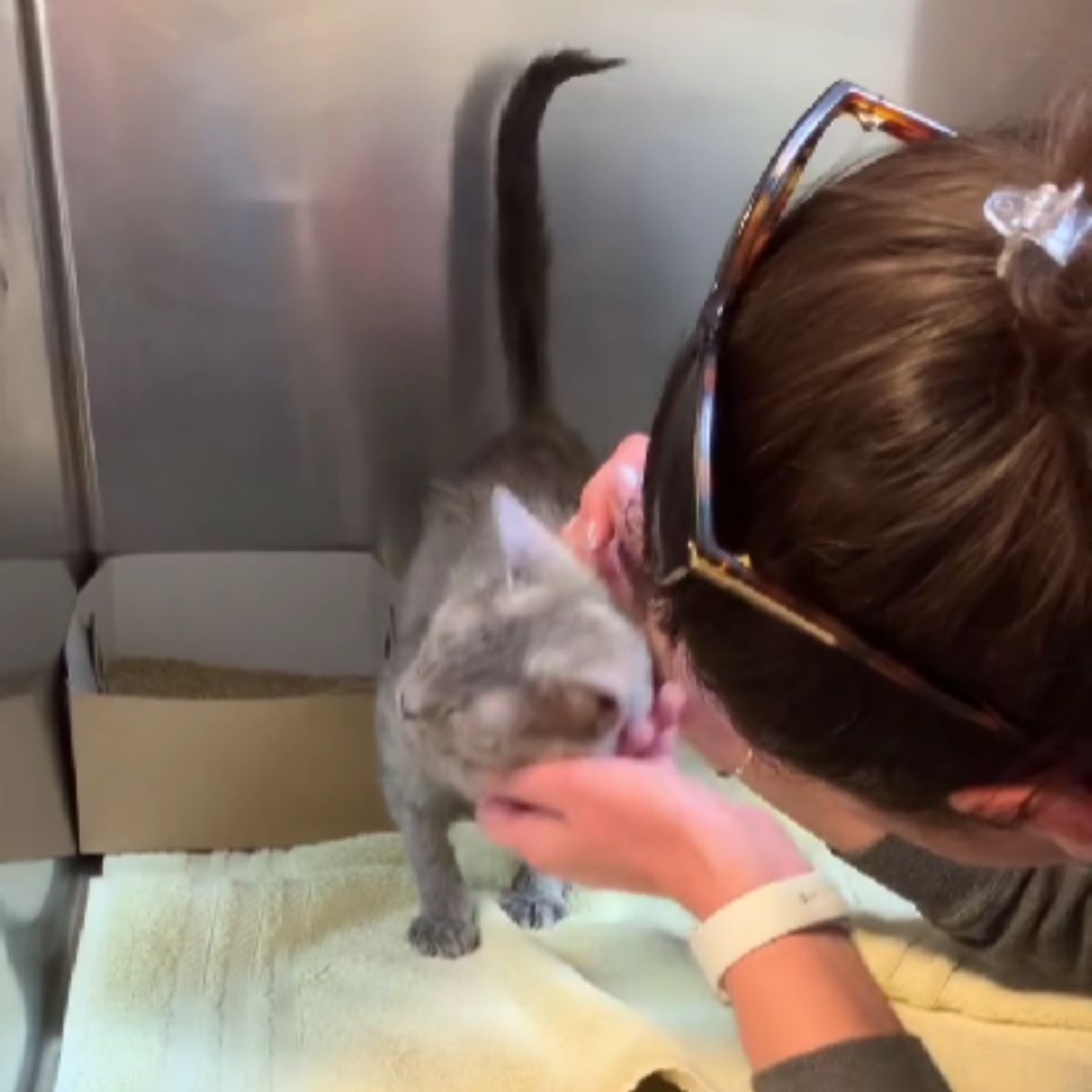 woman petting the cat