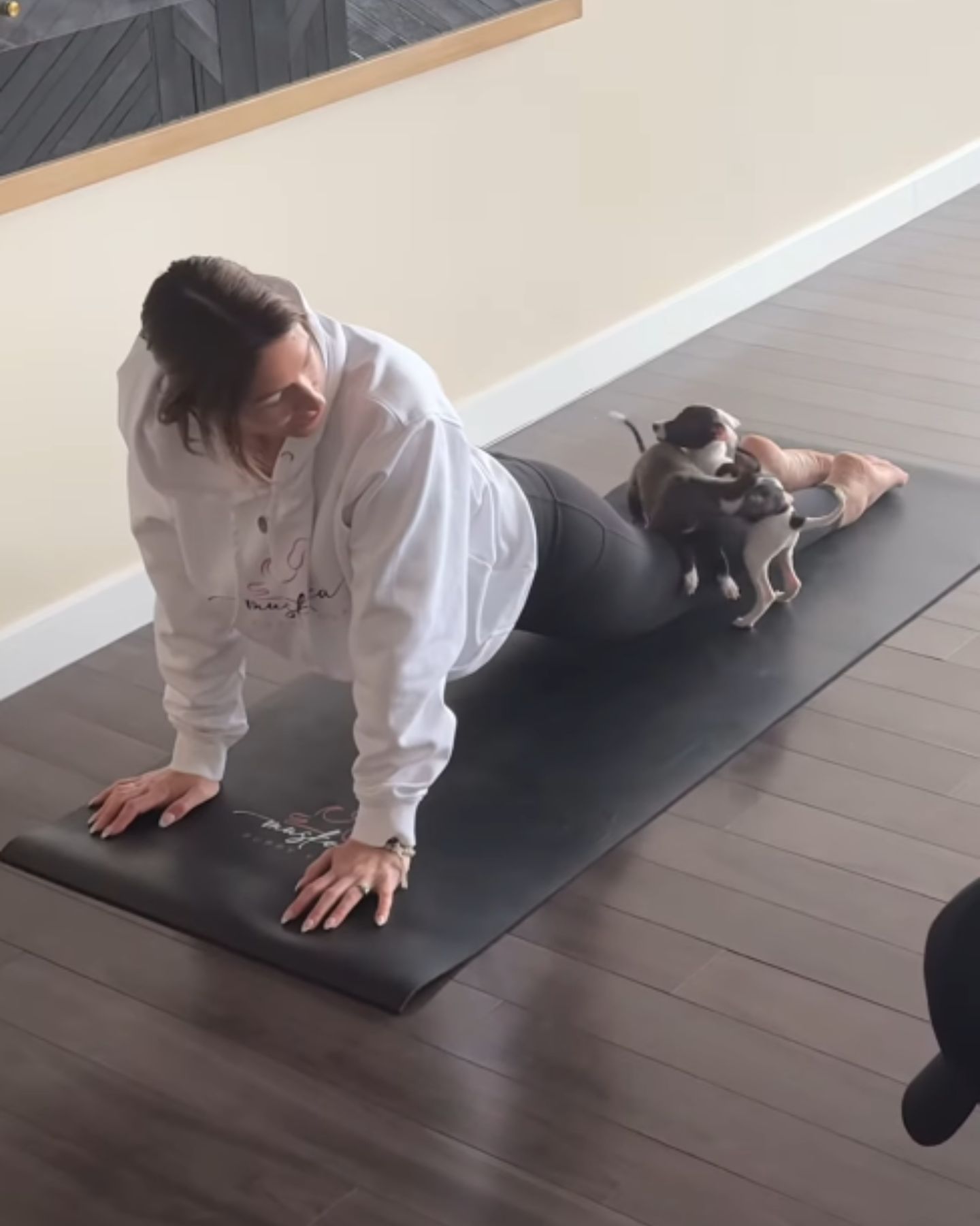woman practicing with pup