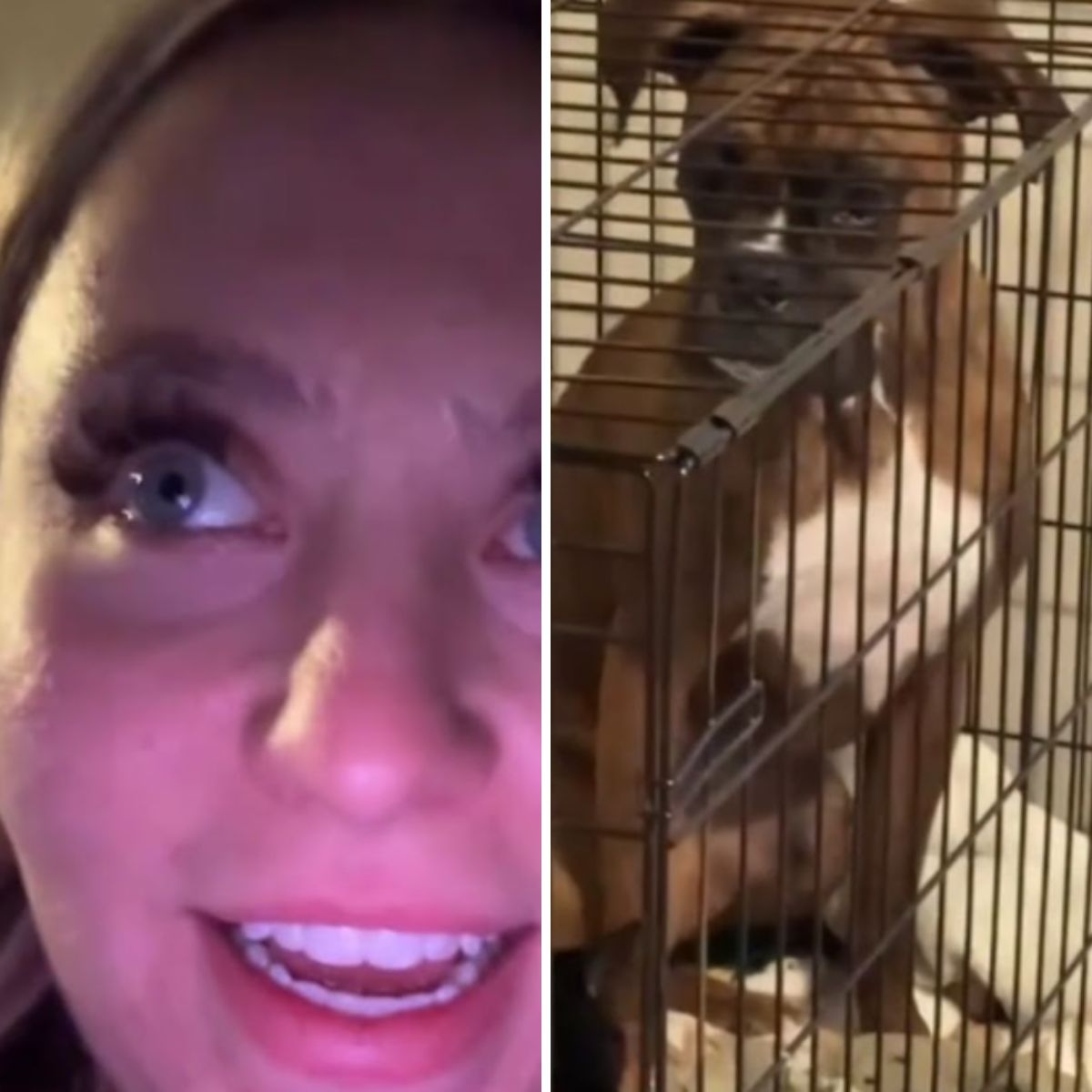 woman reacts dog in crate