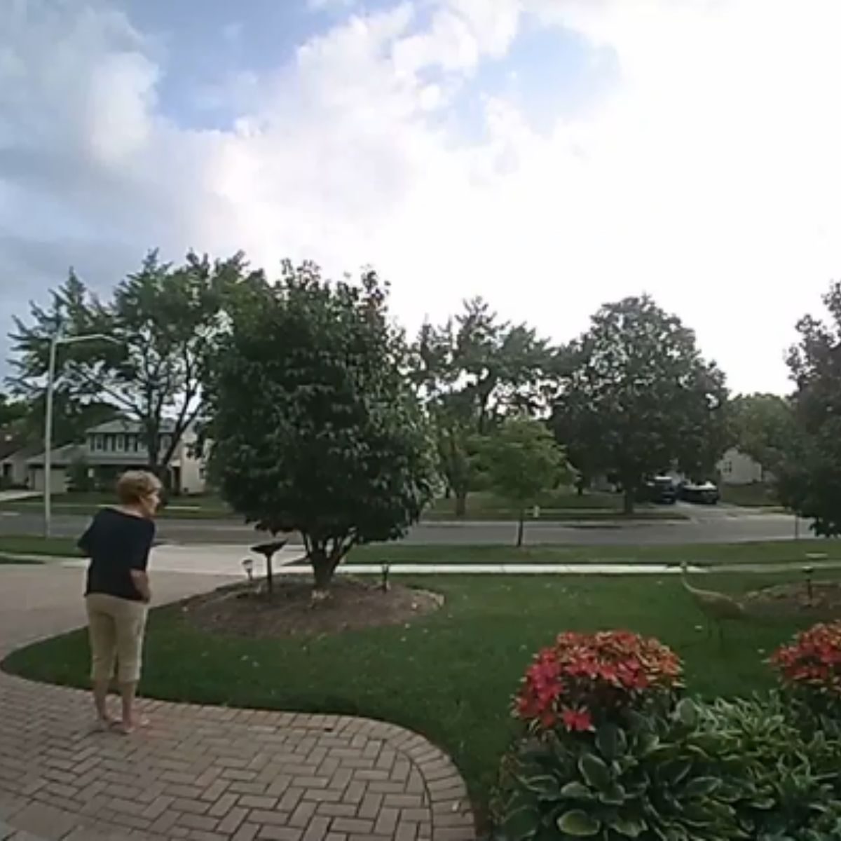 woman saw a sandhill crane