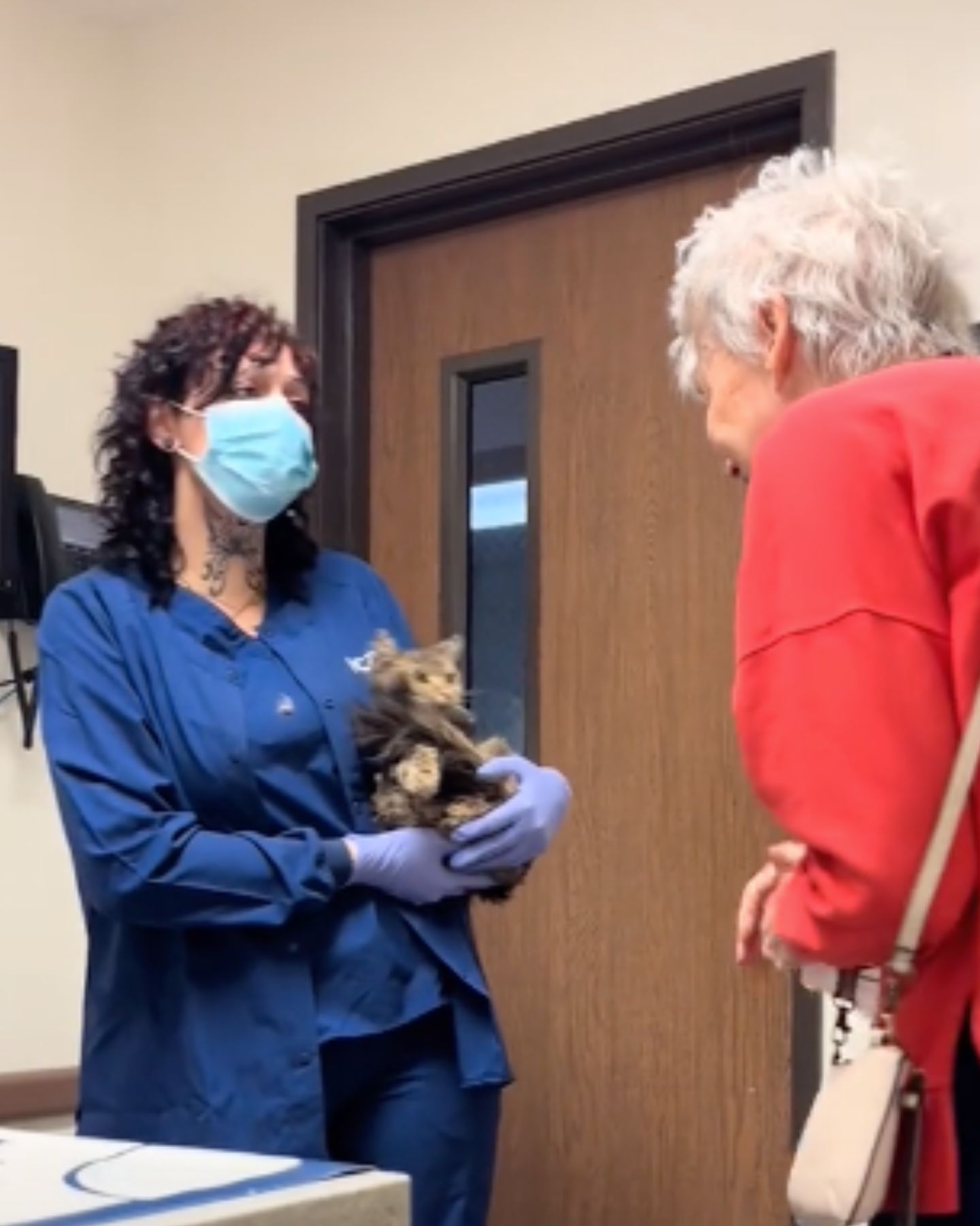 woman seeing her cat