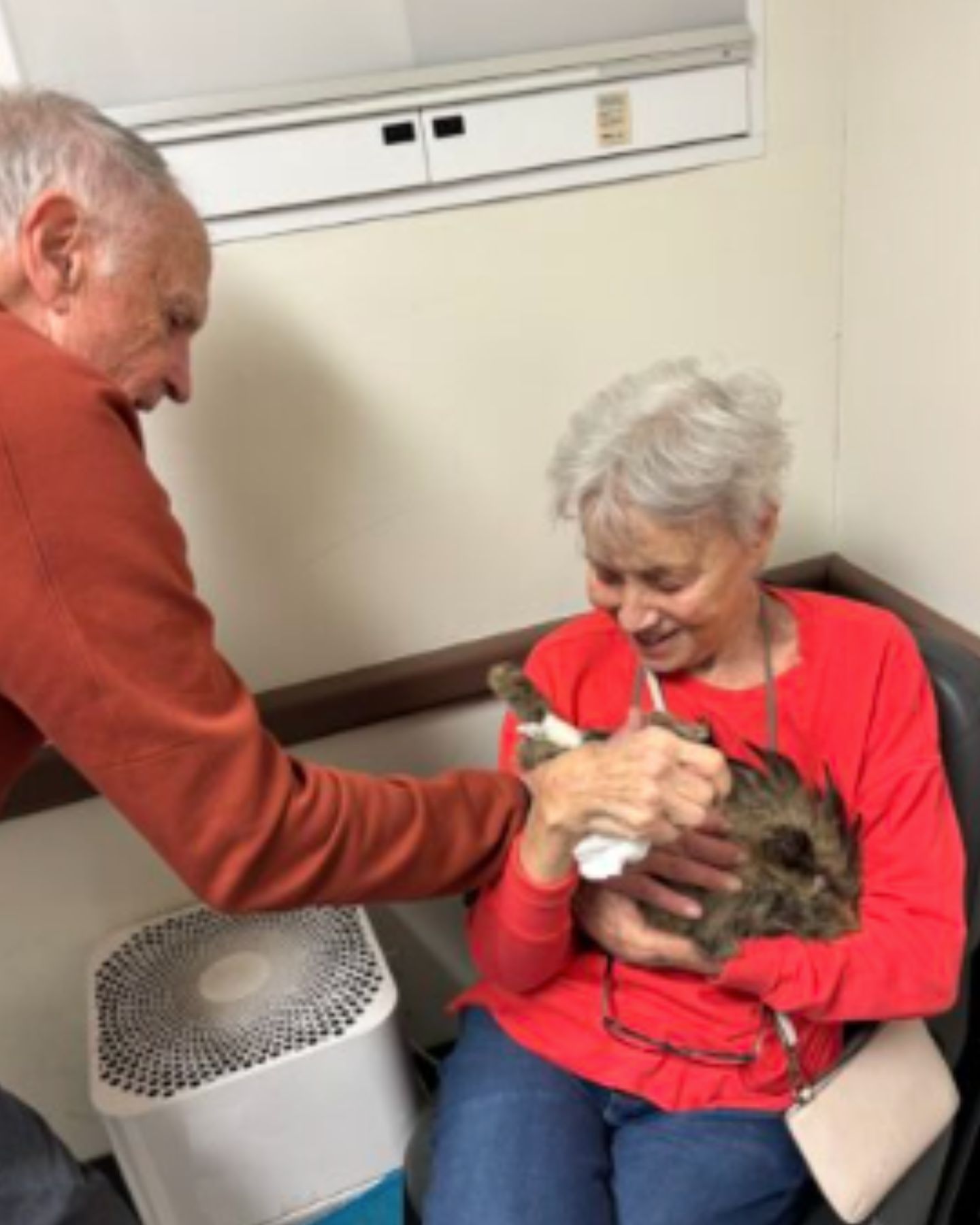 woman sitting with cat