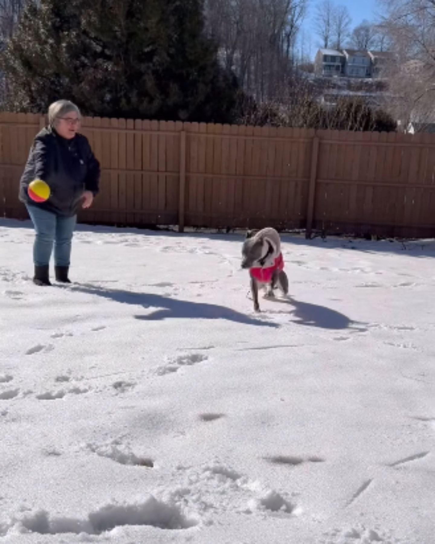 woman throws ball to dog in the snow
