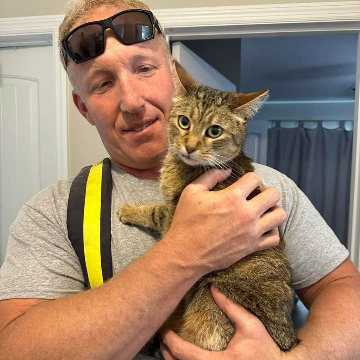 worker holding a cat